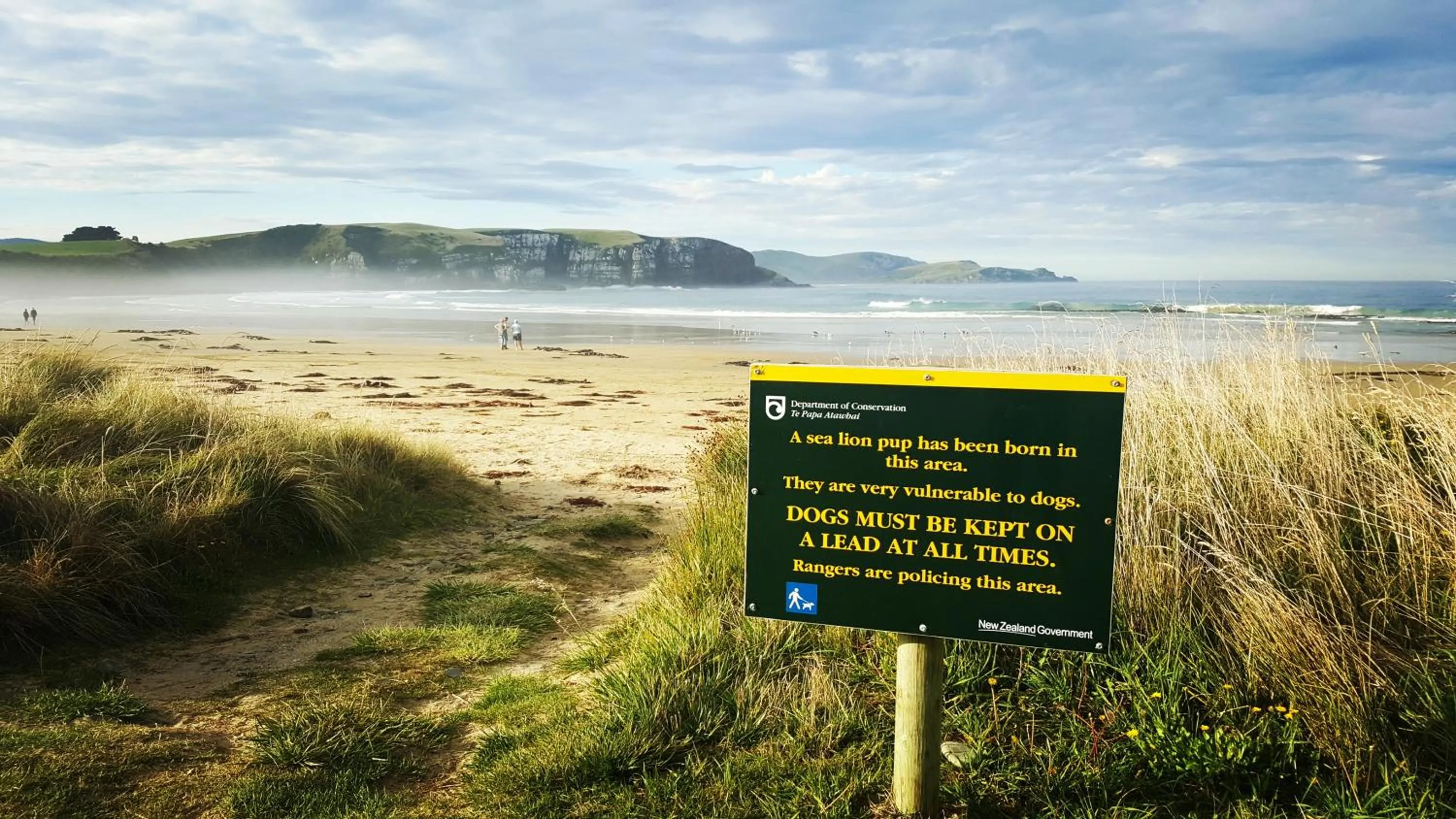 Nearby landmark in Kaka Point Spa Accommodation - Catlins