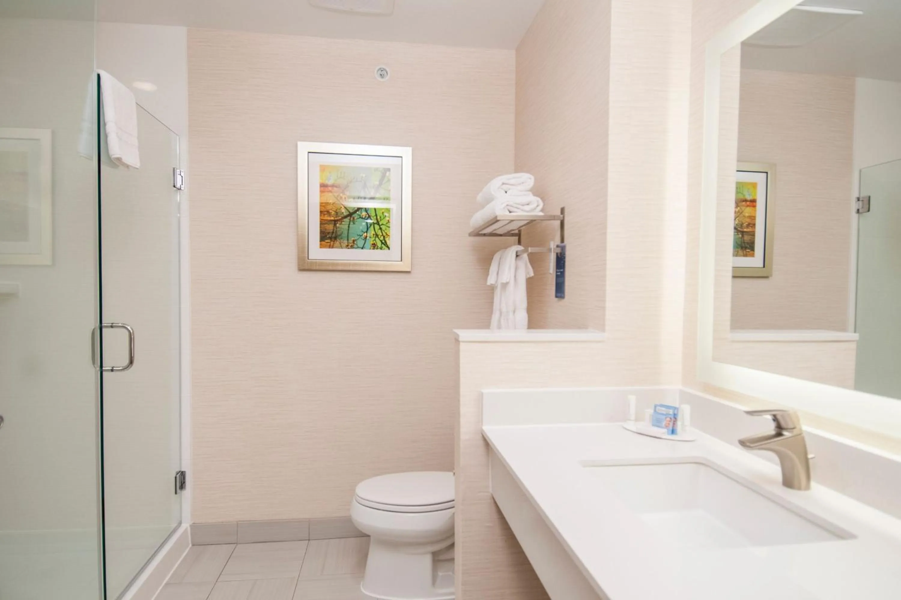 Bathroom in Fairfield Inn & Suites by Marriott Dallas Plano North