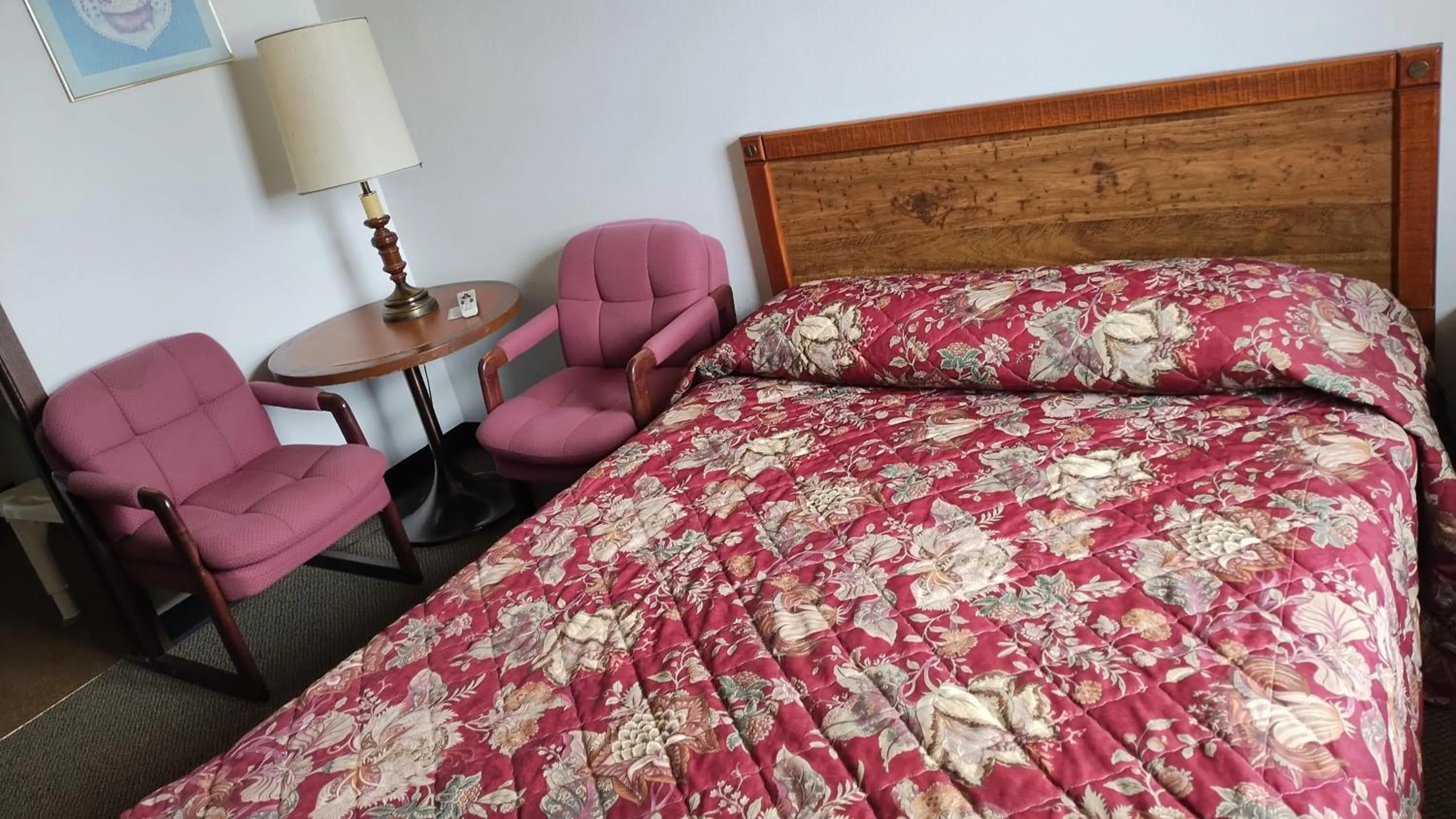 View (from property/room), Bed in Northgate Inn Motel