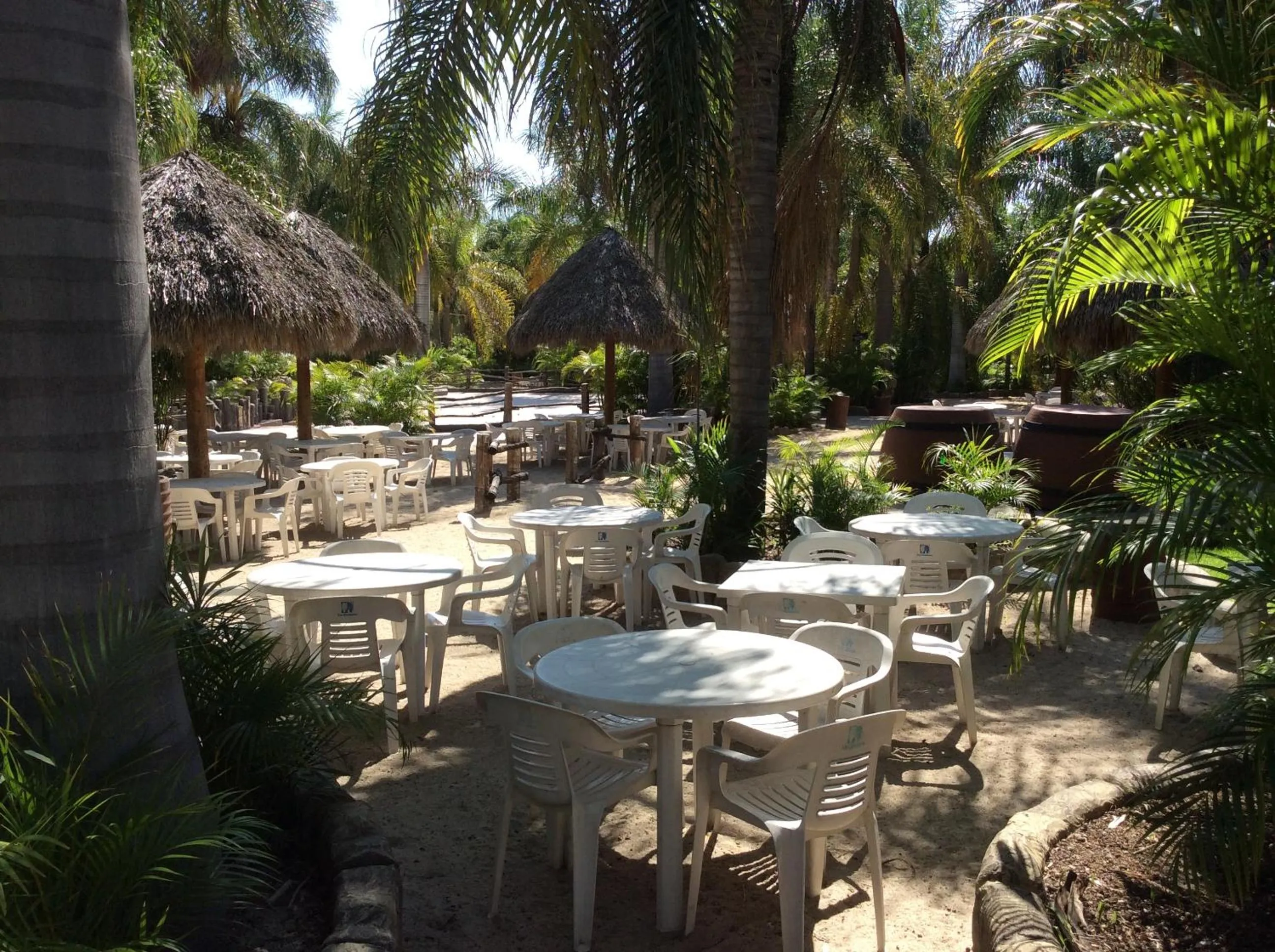 Restaurant/places to eat in Hotel Y Parque Acuático La Caldera