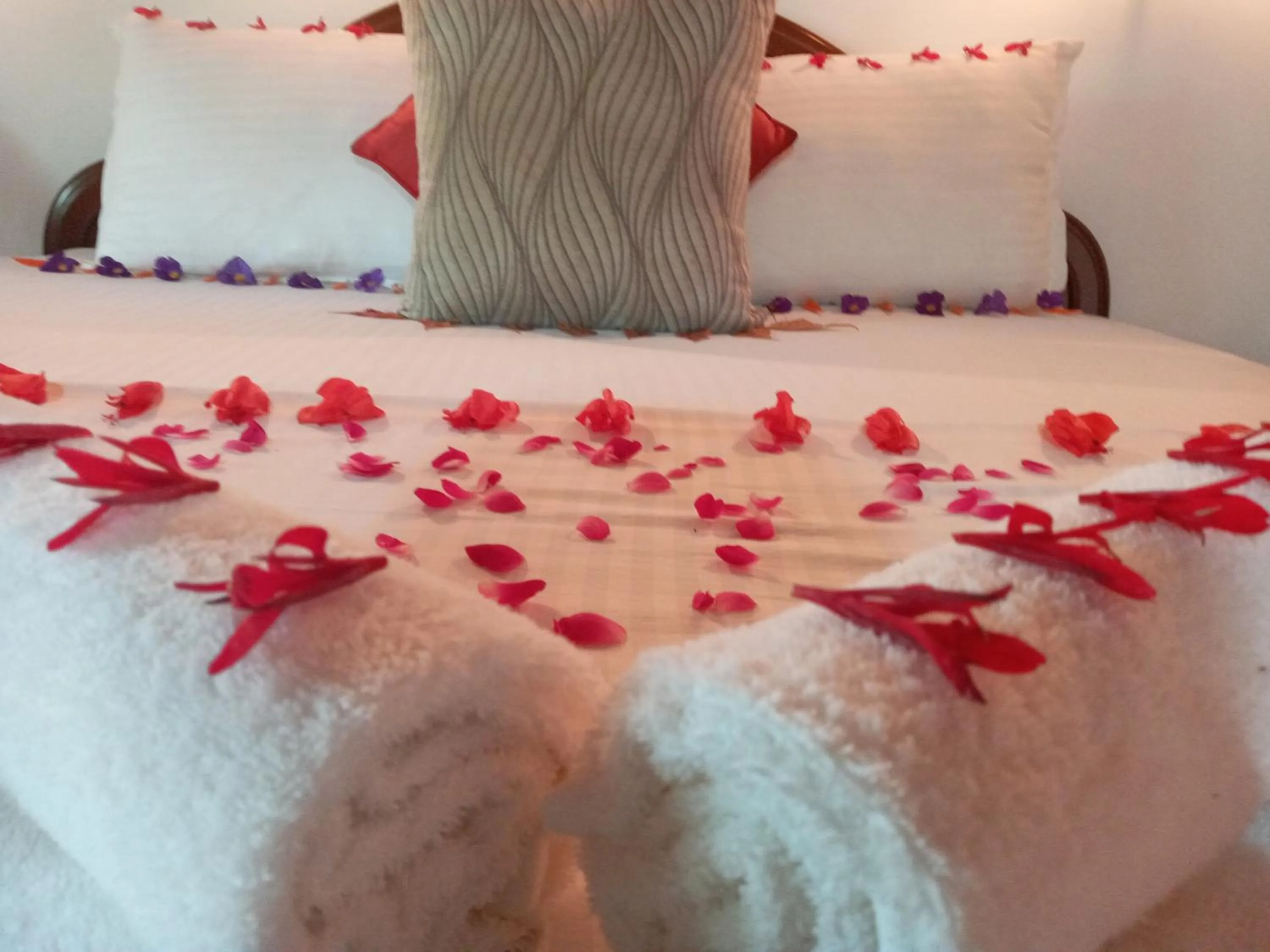 Bed in Hotel Spring View