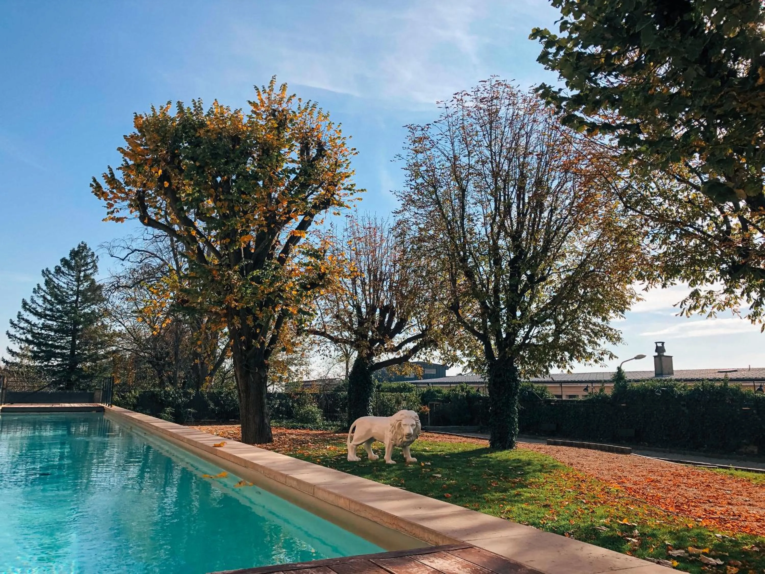 Swimming pool in Fourvière Hôtel