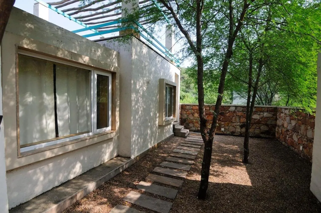 Trees N Tigers Luxury Wildlife Lodge