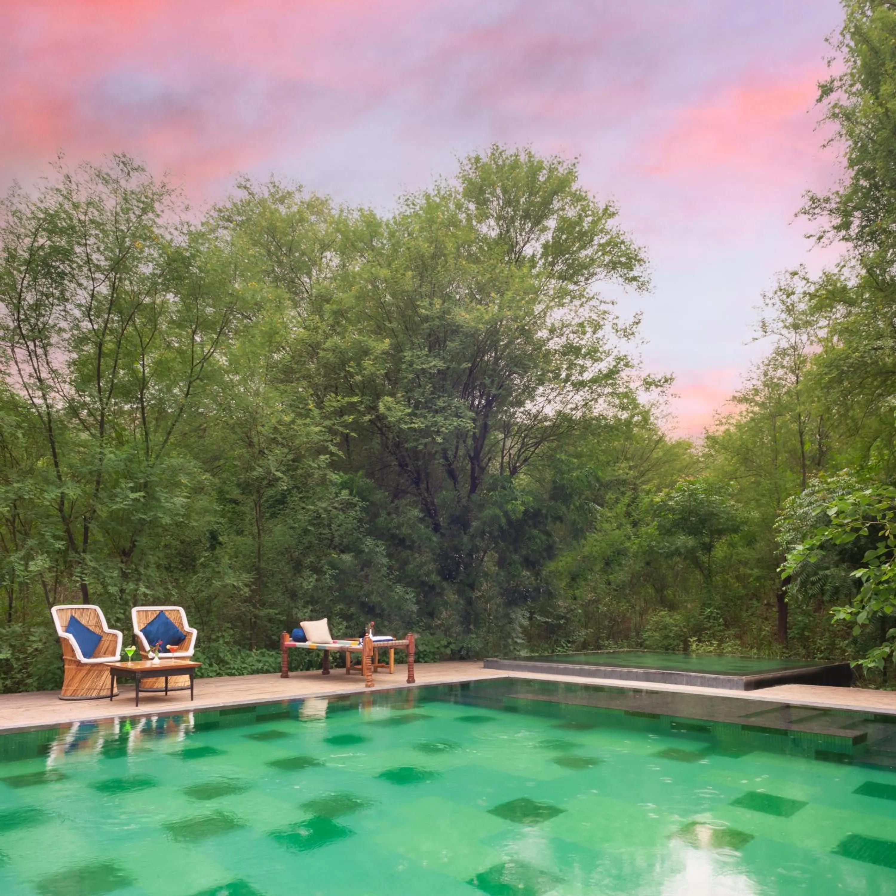 Swimming pool in Trees N Tigers Luxury Wildlife Lodge