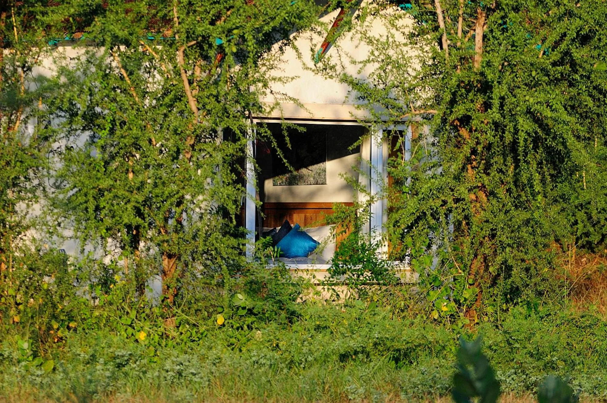 Trees N Tigers Luxury Wildlife Lodge