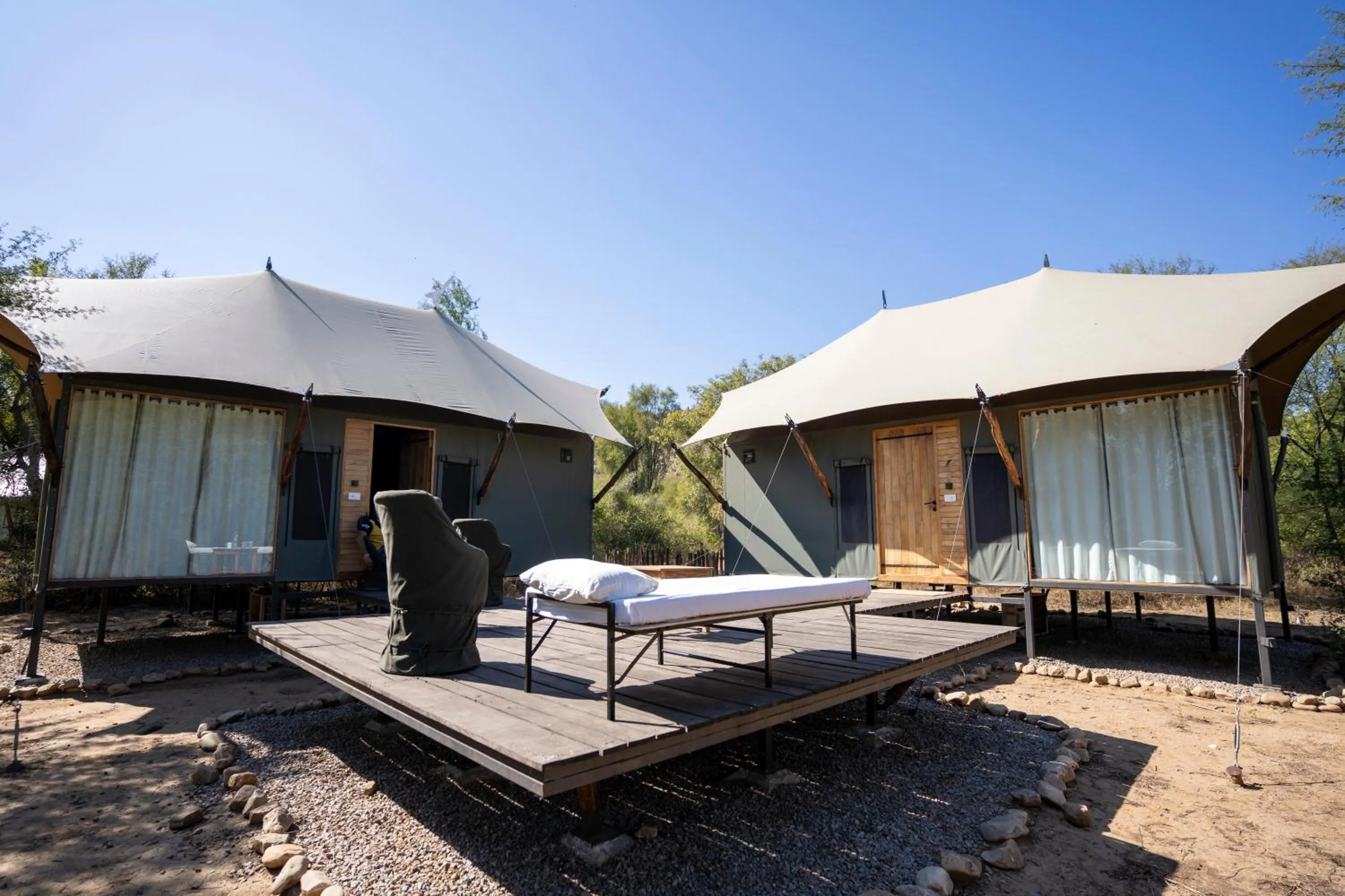 Trees N Tigers Luxury Wildlife Lodge