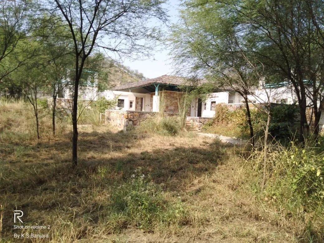 Swimming pool in Trees N Tigers Luxury Wildlife Lodge