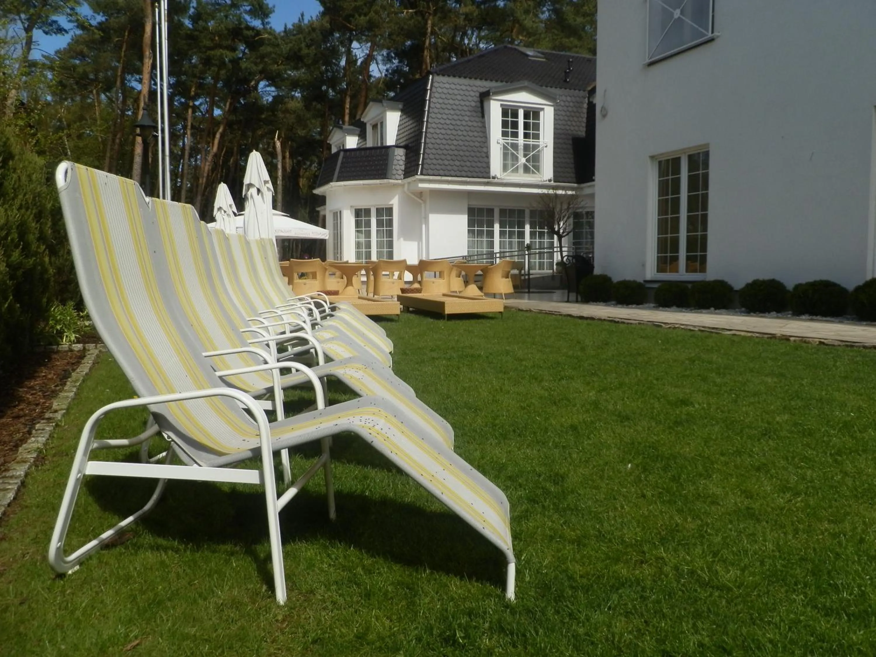 Garden in Willa Alexander Resort & SPA - caloroczny kryty BASEN