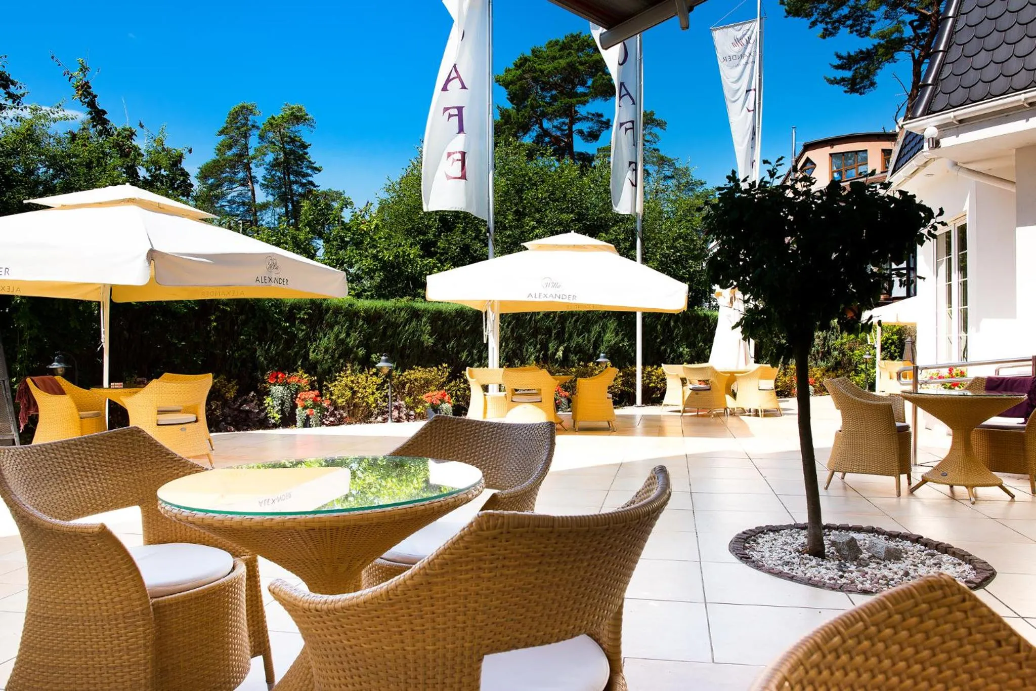 Patio in Willa Alexander Resort & SPA - caloroczny kryty BASEN