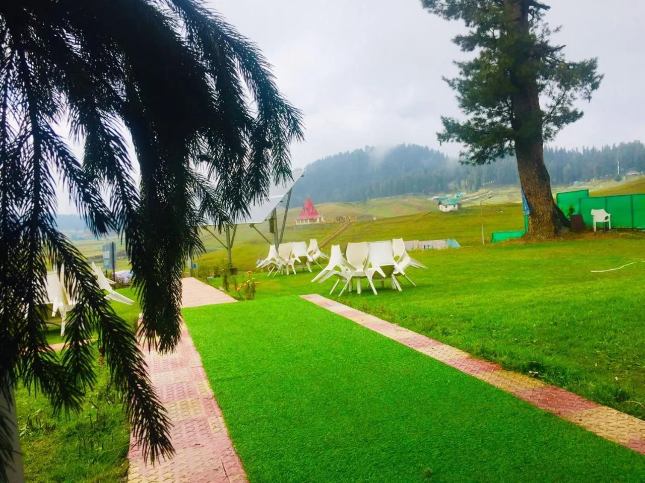 Natural landscape in Pine View Resort