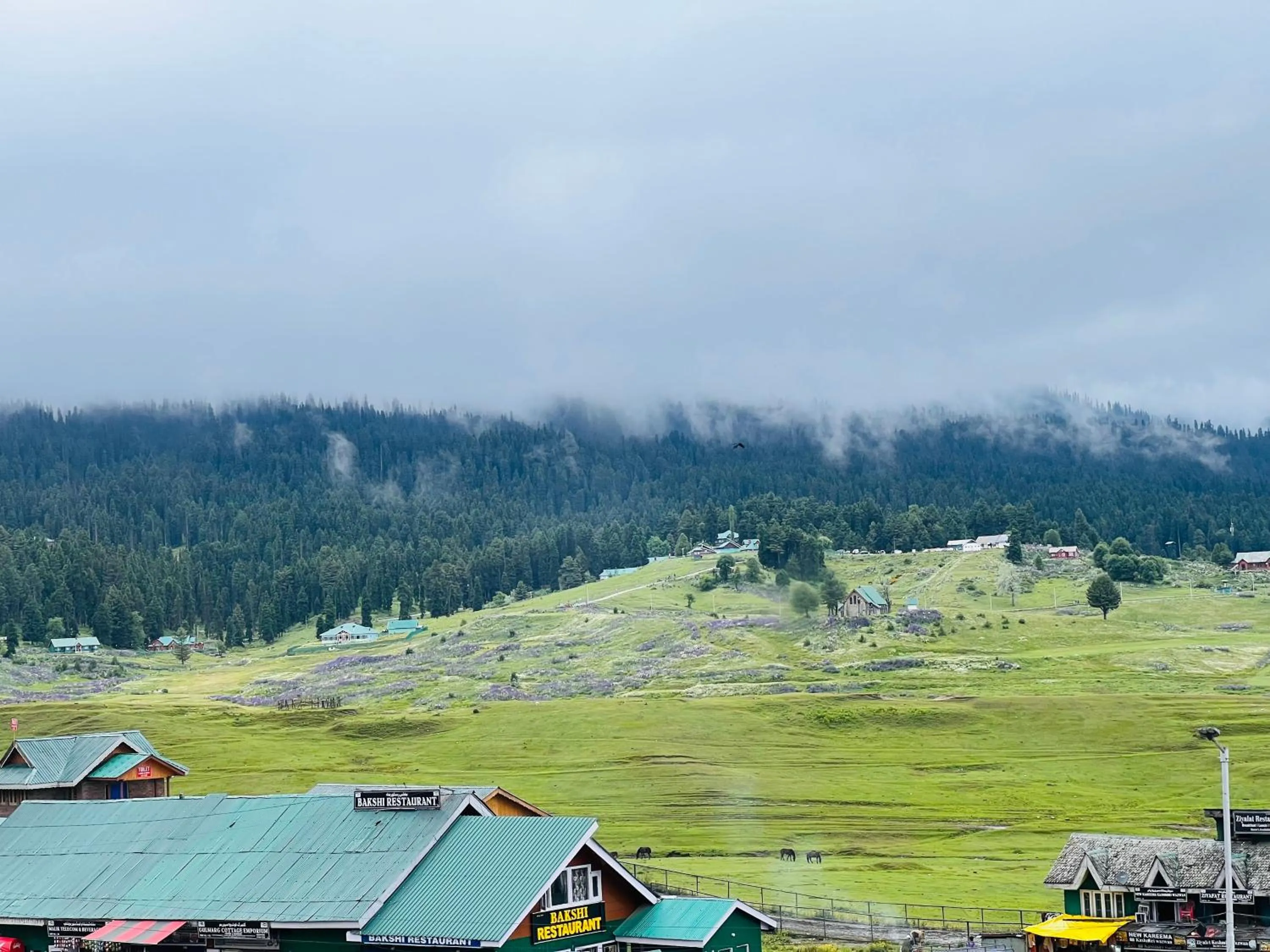 City view in Pine View Resort