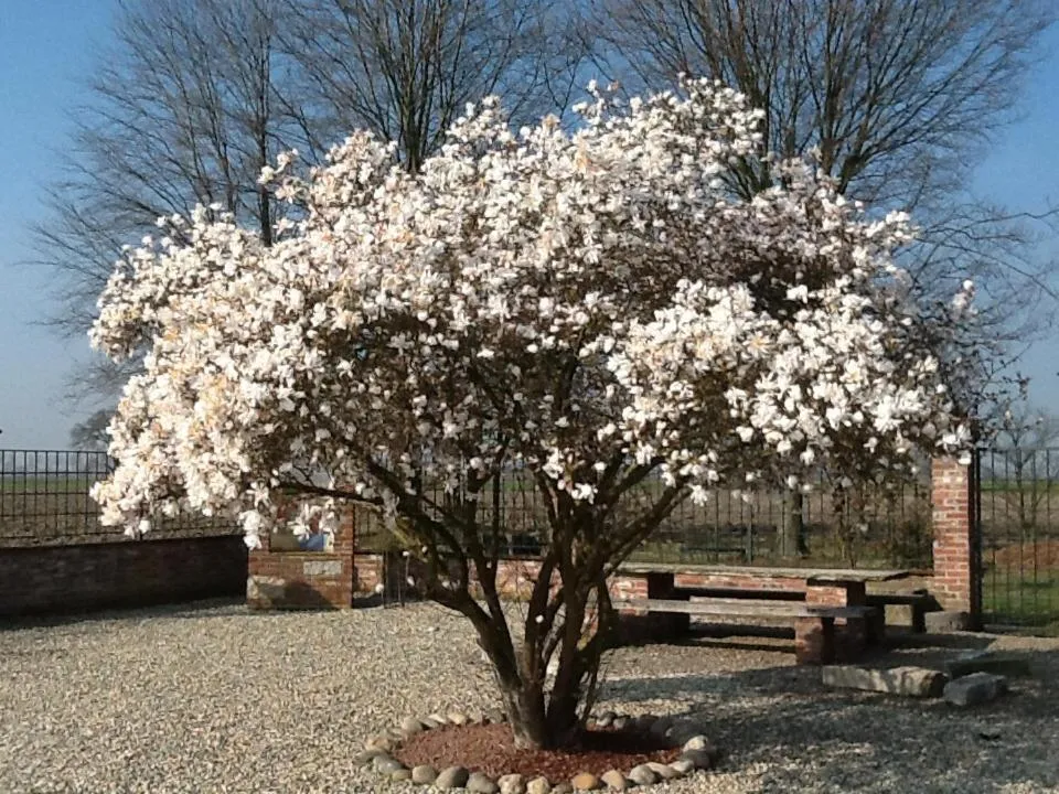 Property building in B&B Cascina Baraggione