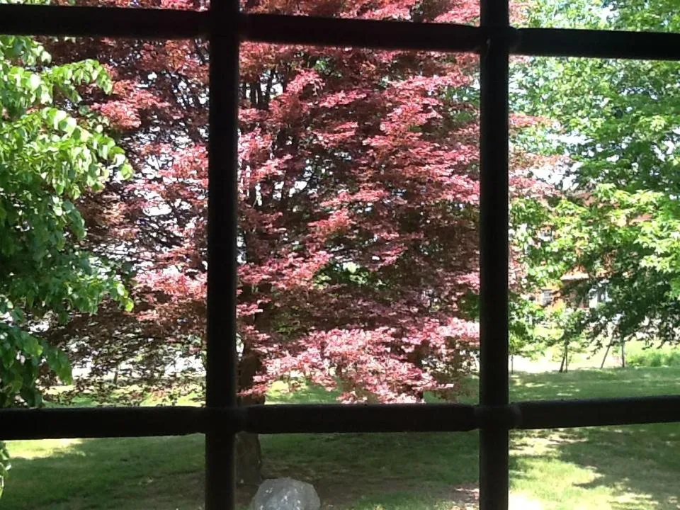 Day in B&B Cascina Baraggione