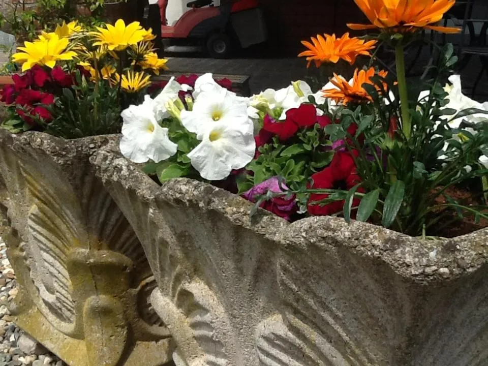 Spring in B&B Cascina Baraggione