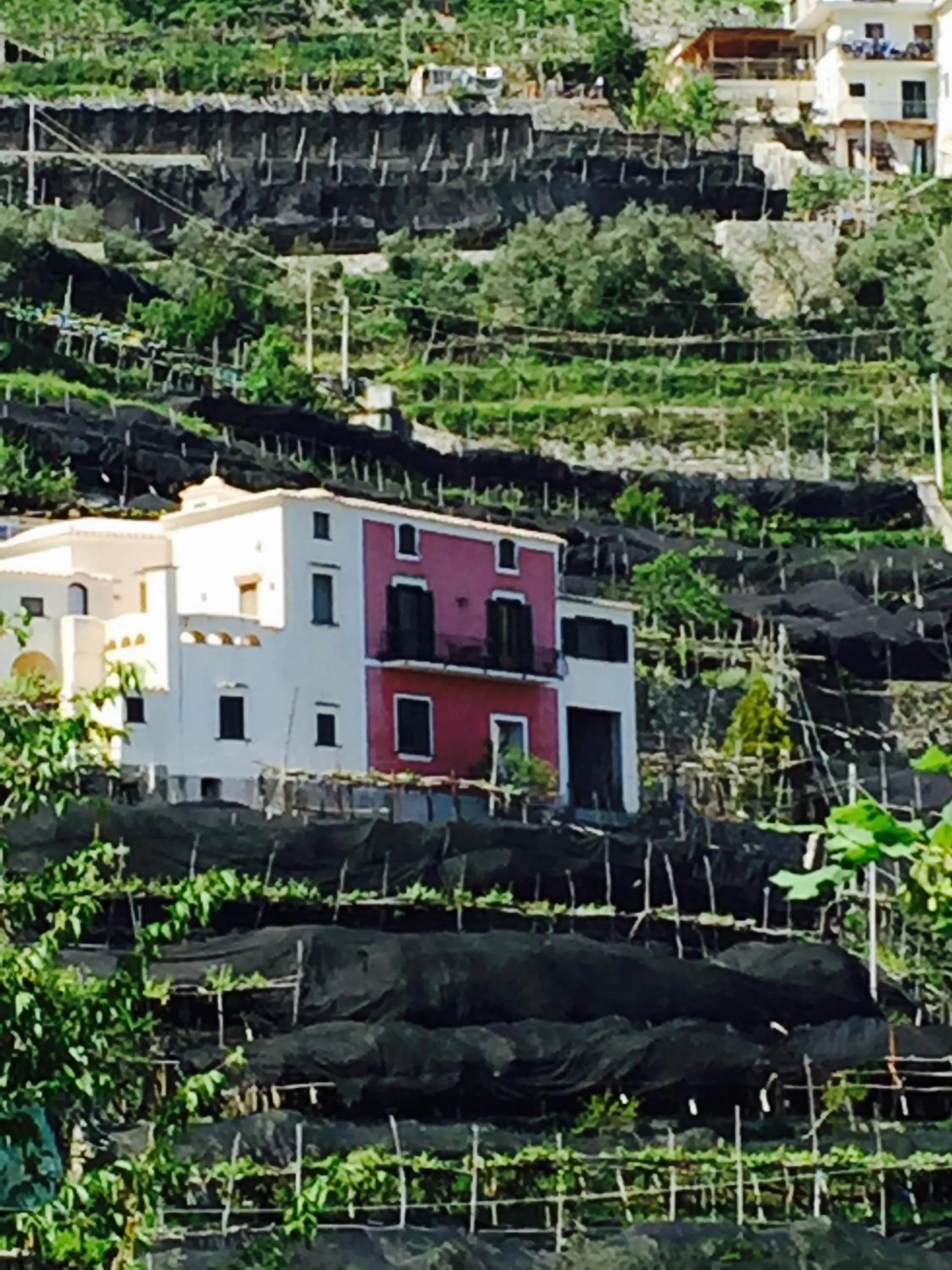 Property building in Casa Rossa