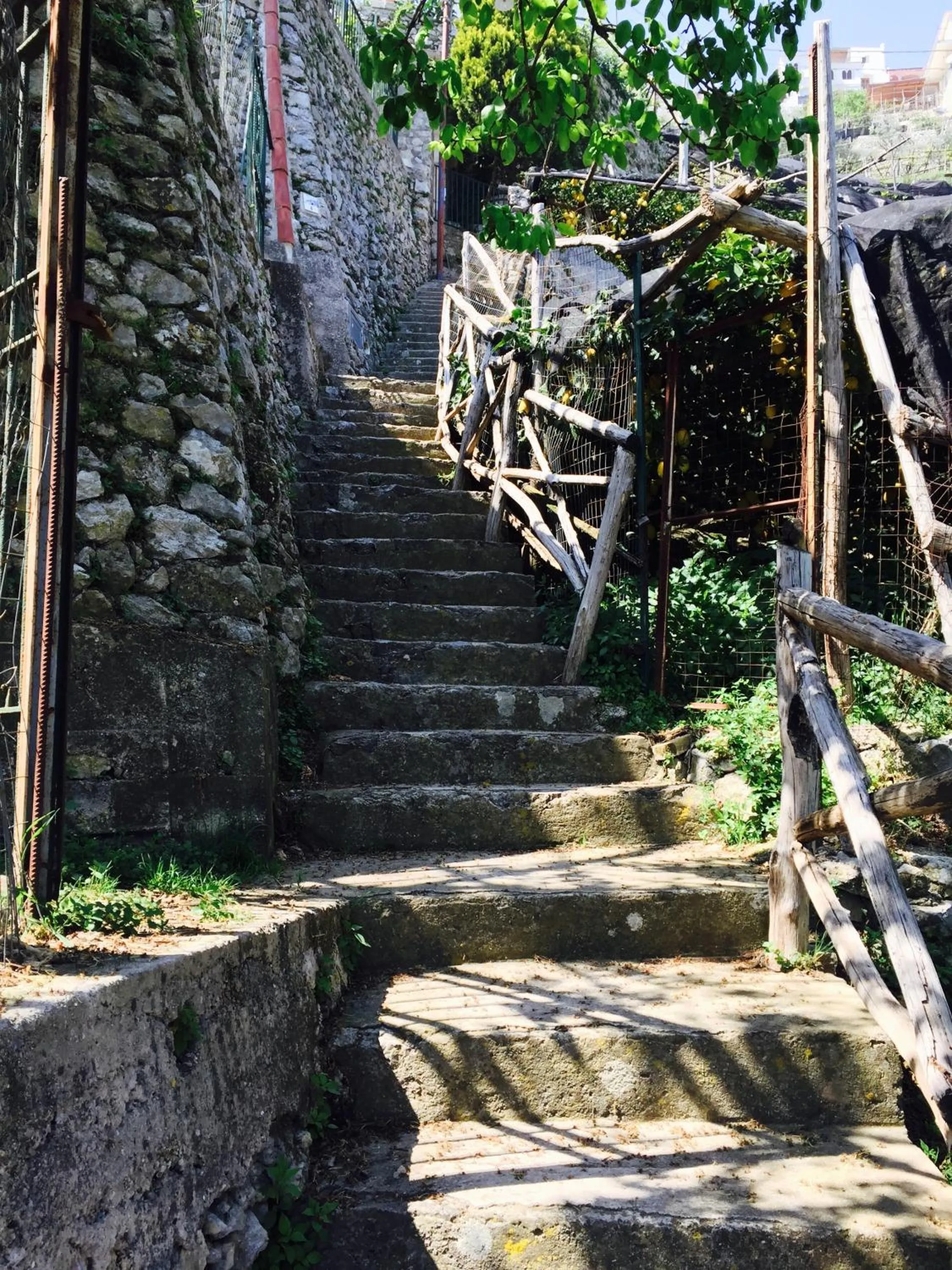 Spring in Casa Rossa