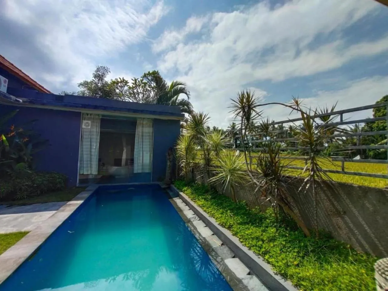 Pool view in Asri Sari Ubud Resort
