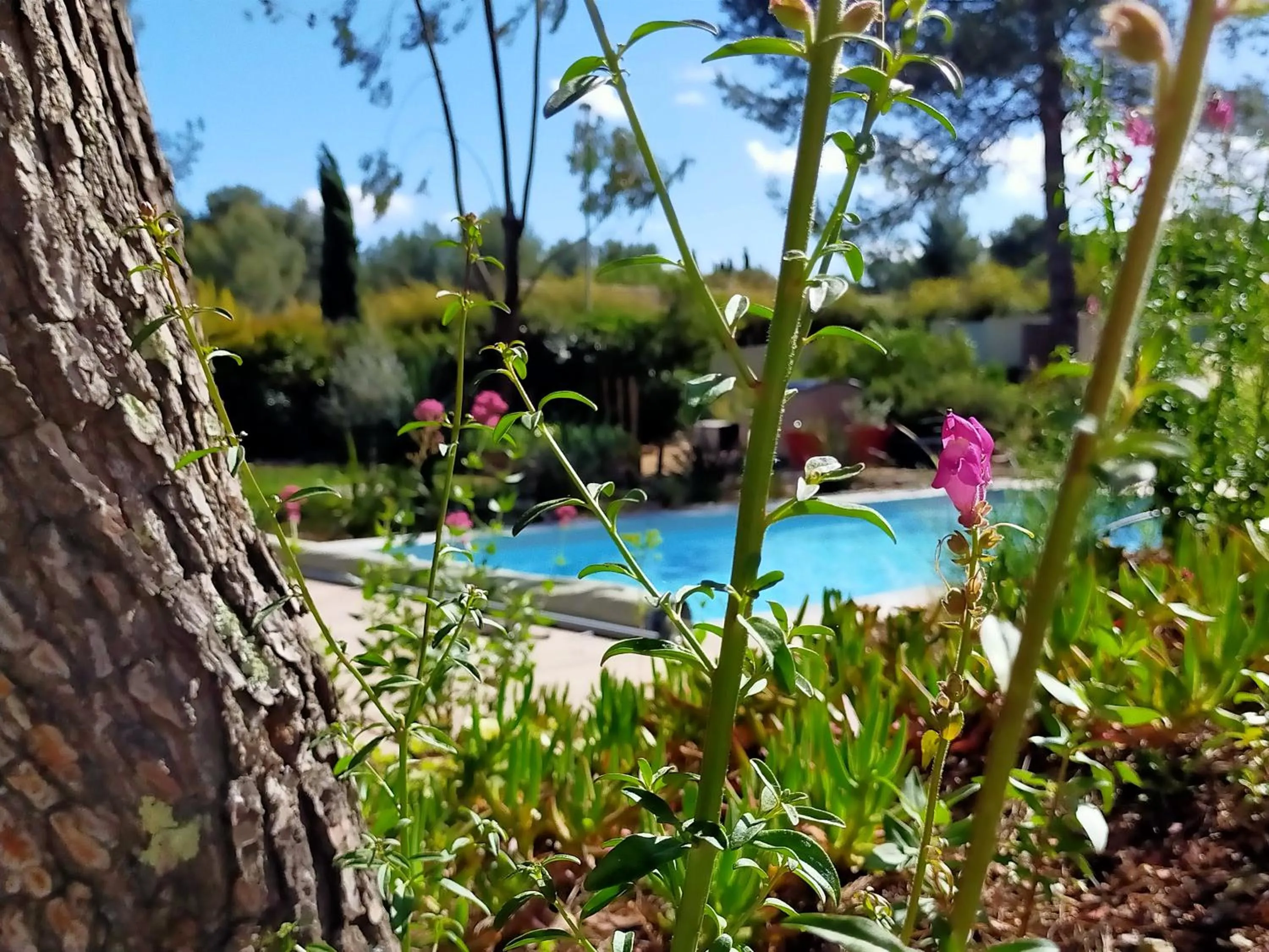 Natural landscape in Studio d'Hôtes les Libellules