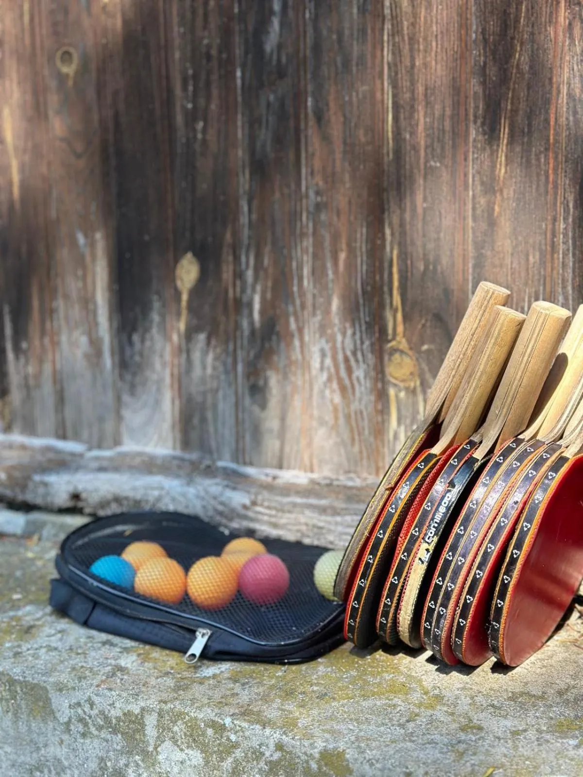 Activities in Château De La Bûcherie