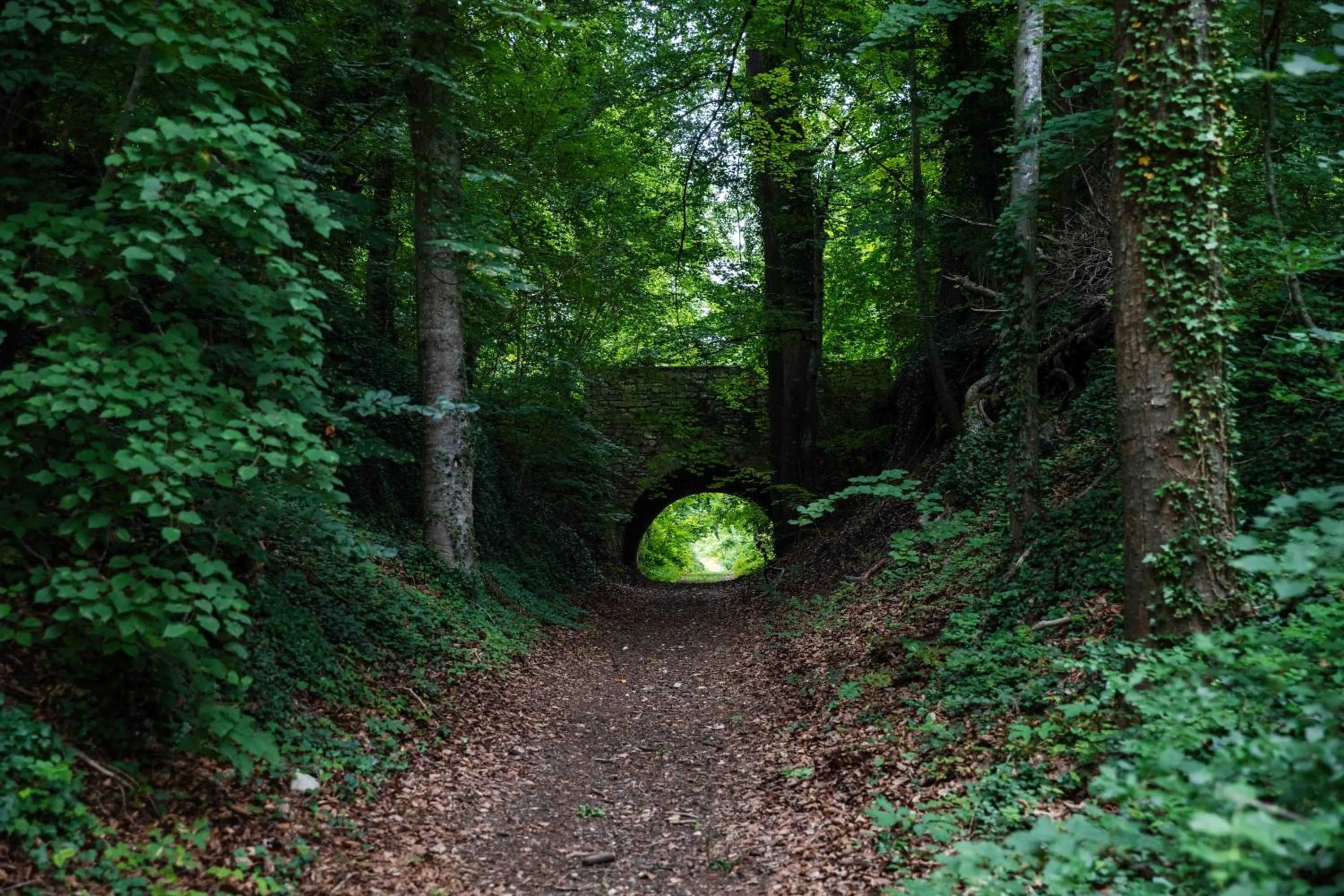 Garden in Château De La Bûcherie