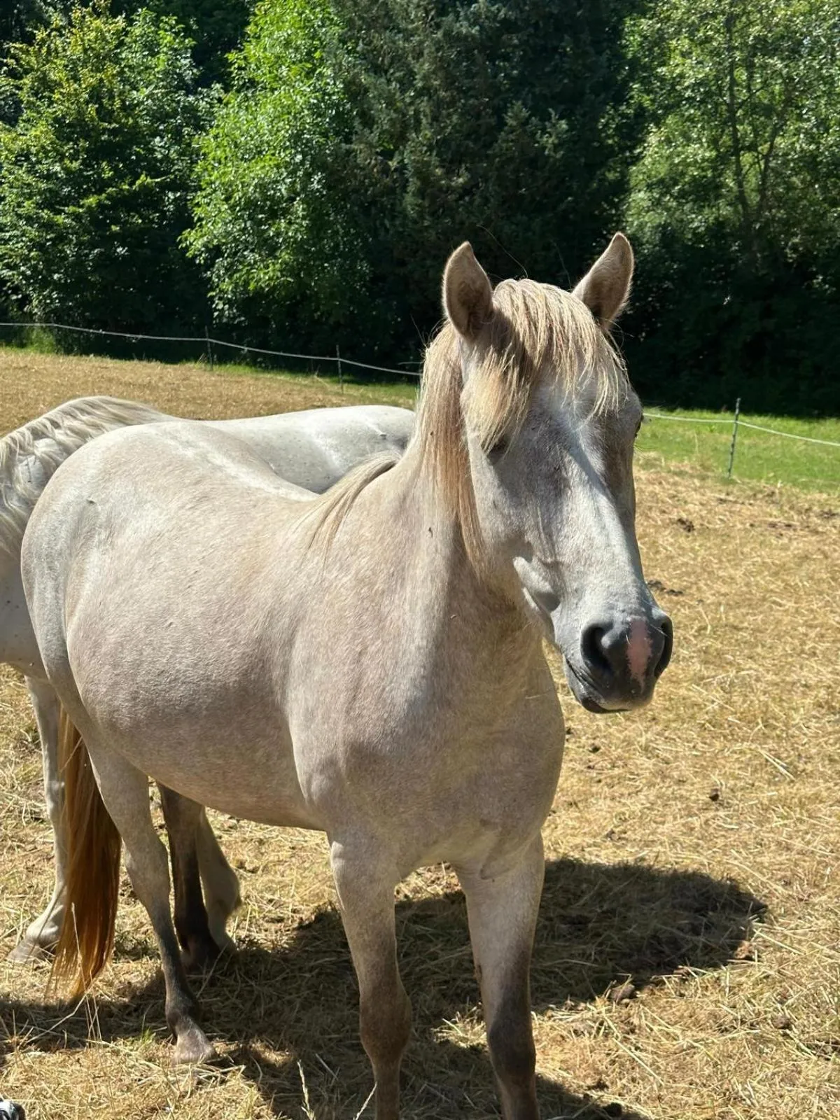 Activities in Château De La Bûcherie