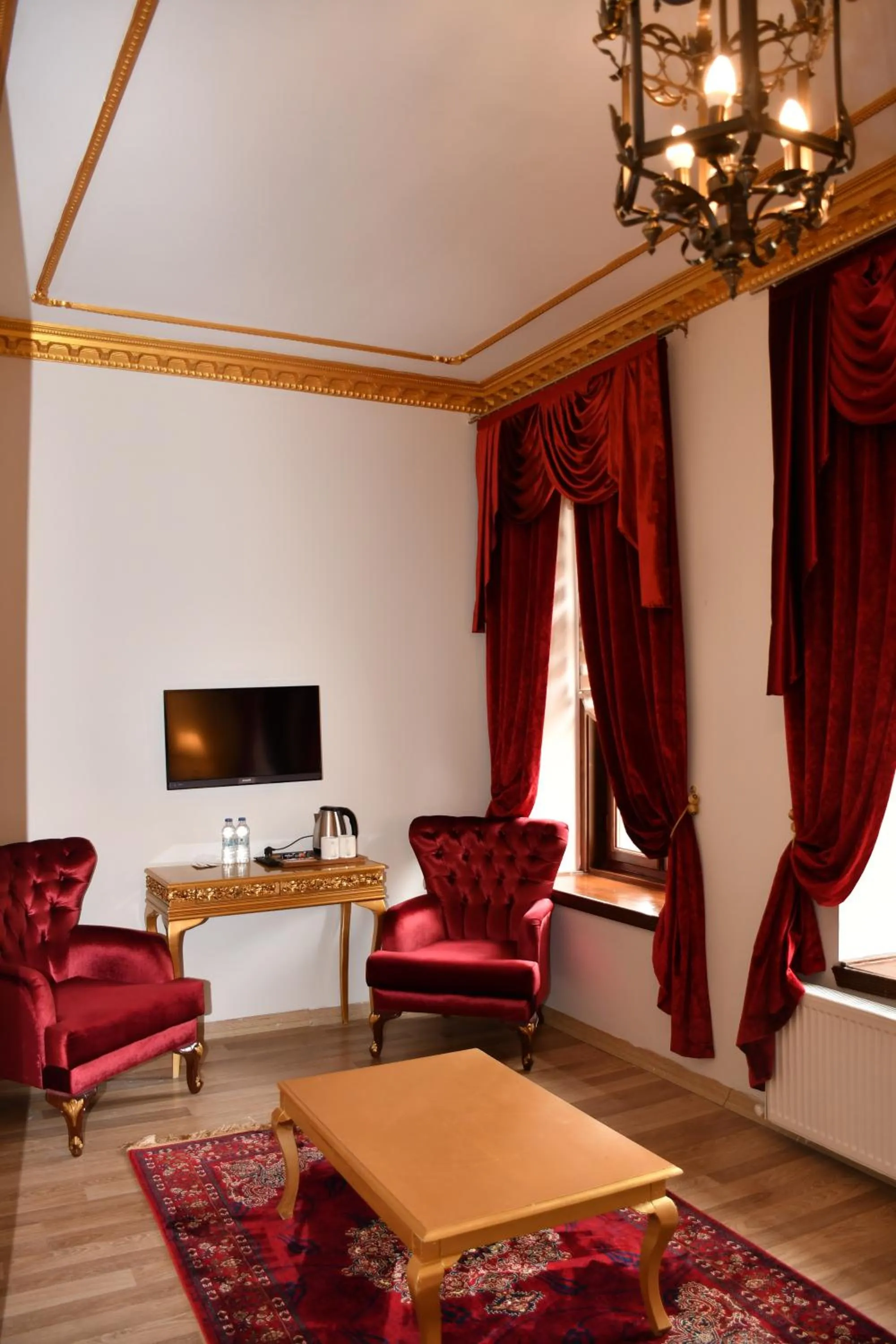 TV and multimedia in Katerina Palace 1877