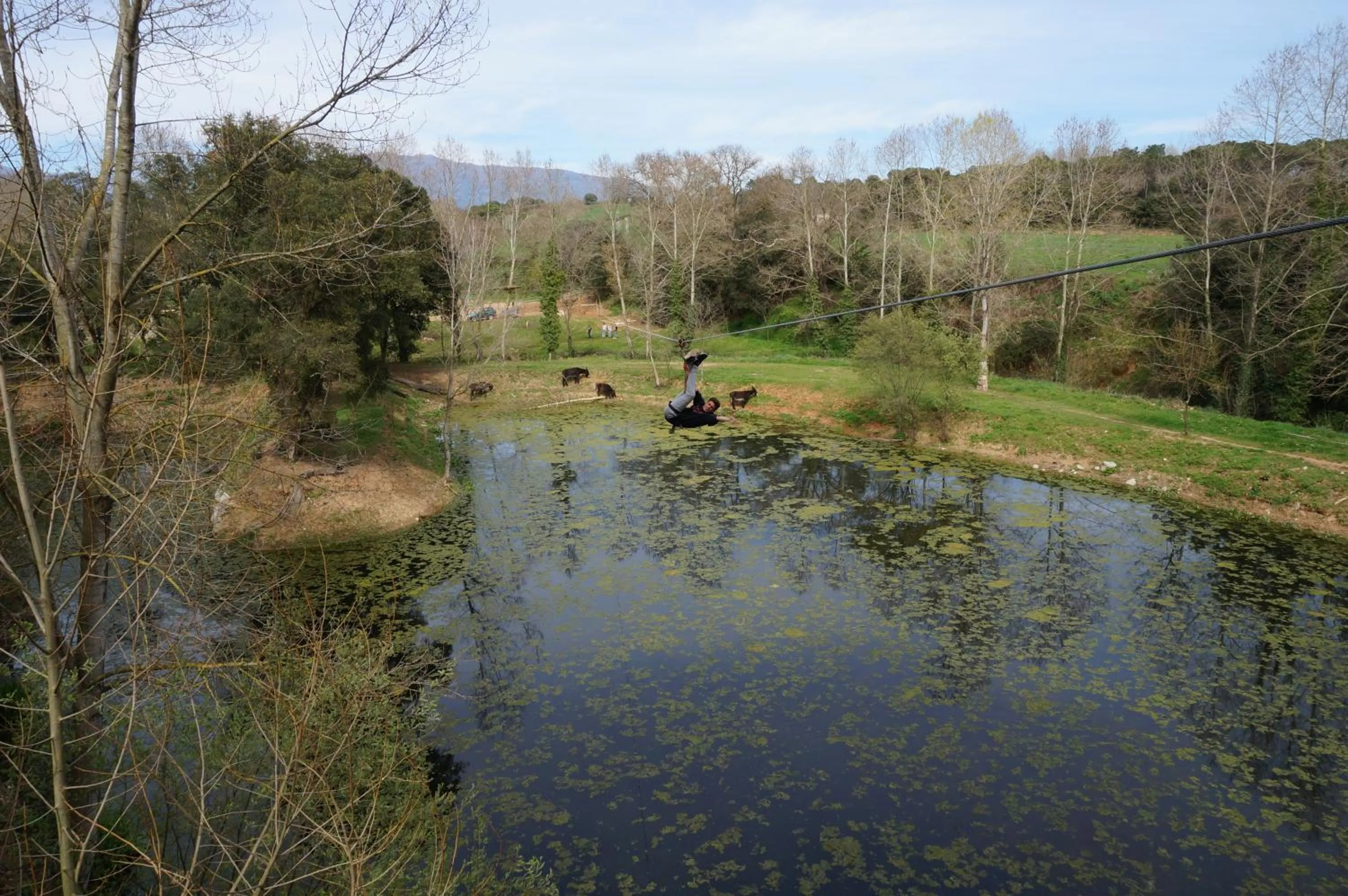 Animals in Hotel Can Ribalta