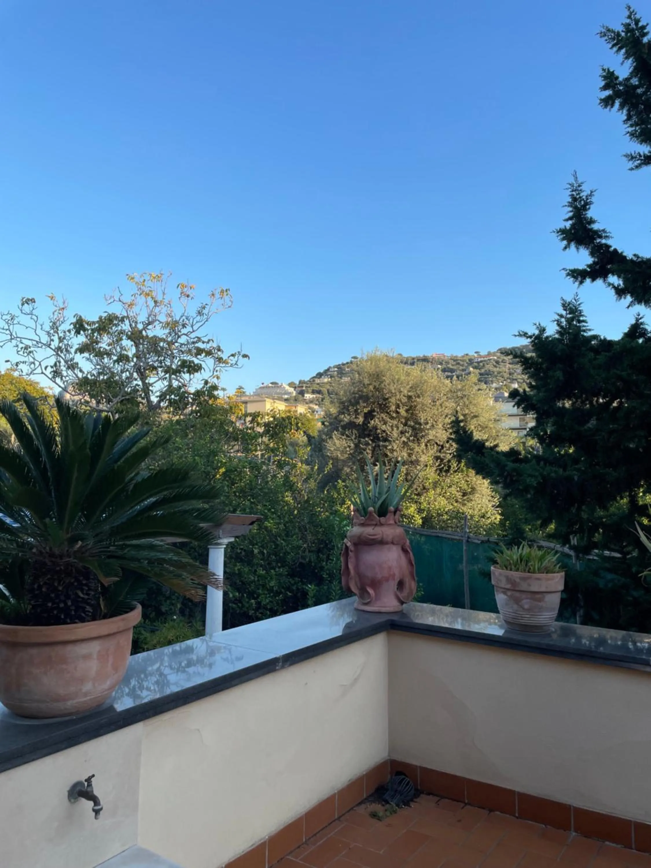 Garden view in Domus Felix