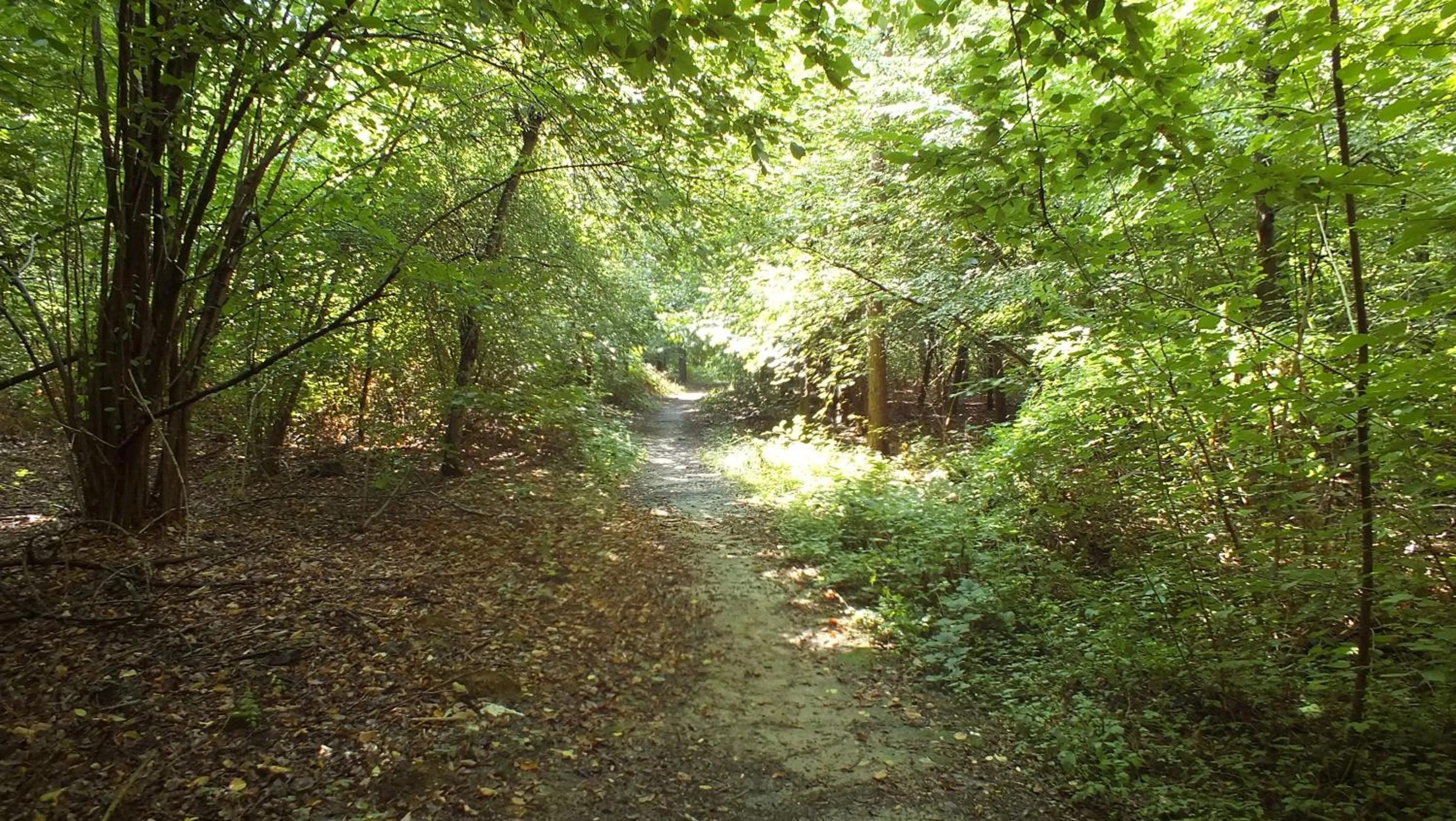 Nearby landmark in La Casa Di Miele