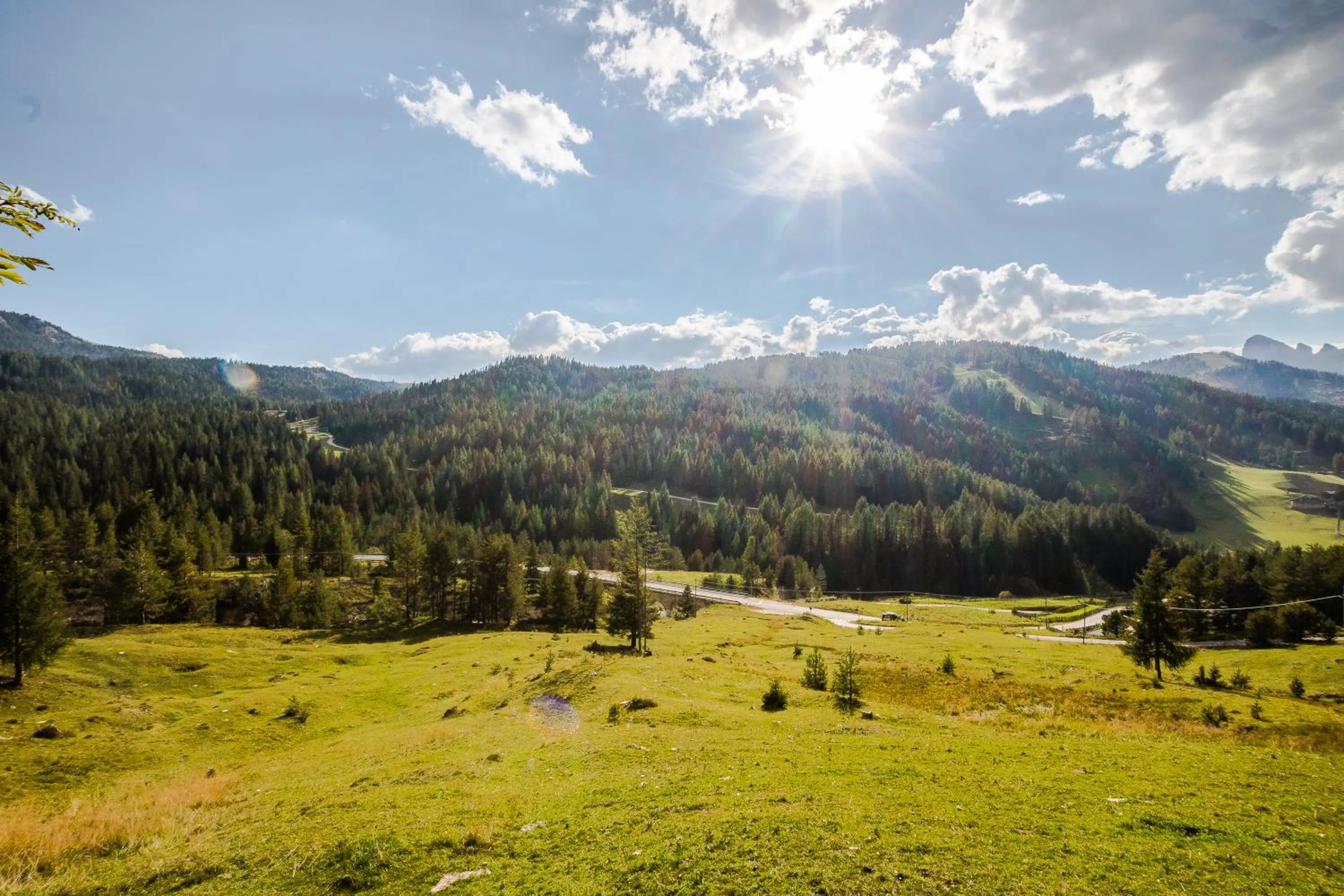 View (from property/room) in Garni Baita