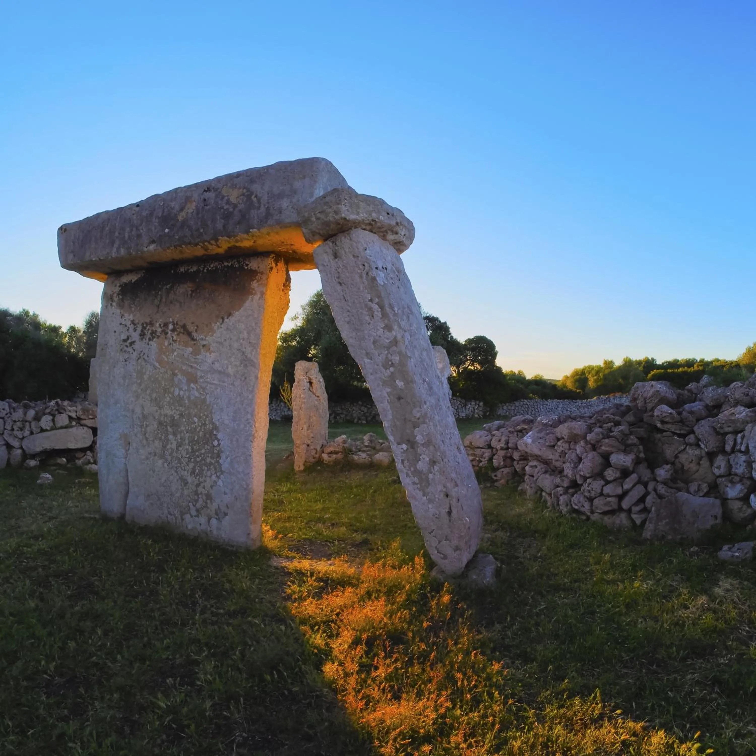 Natural landscape in Apartamentos Cala Blanca