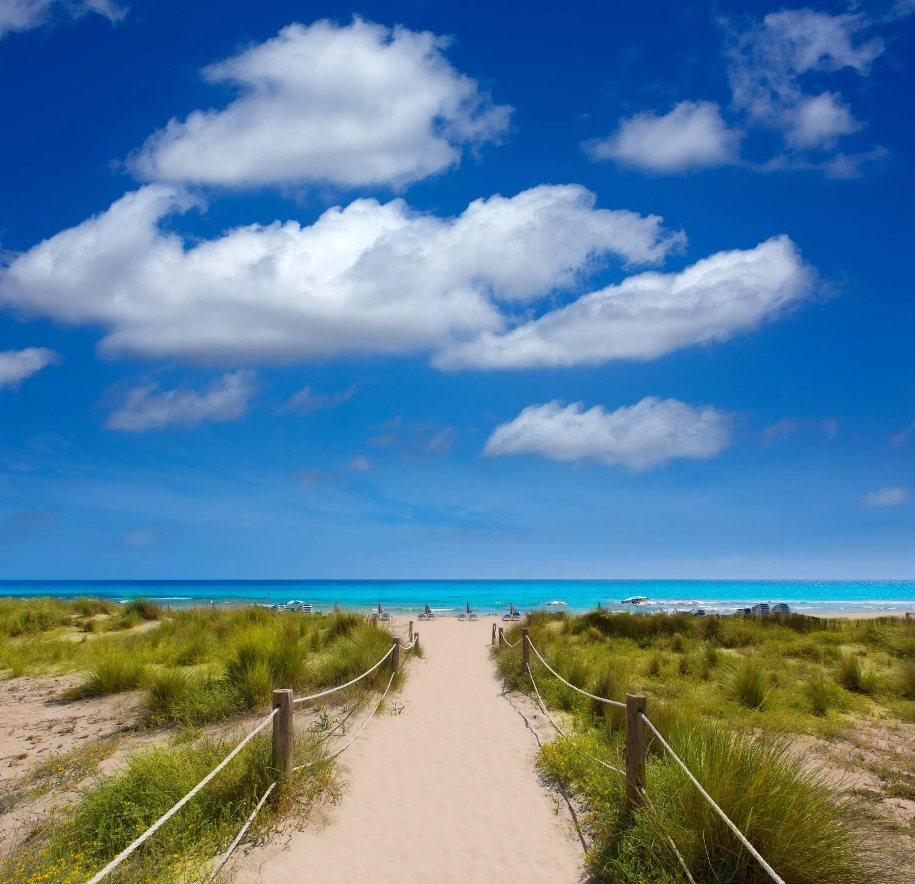 Natural landscape in Apartamentos Cala Blanca