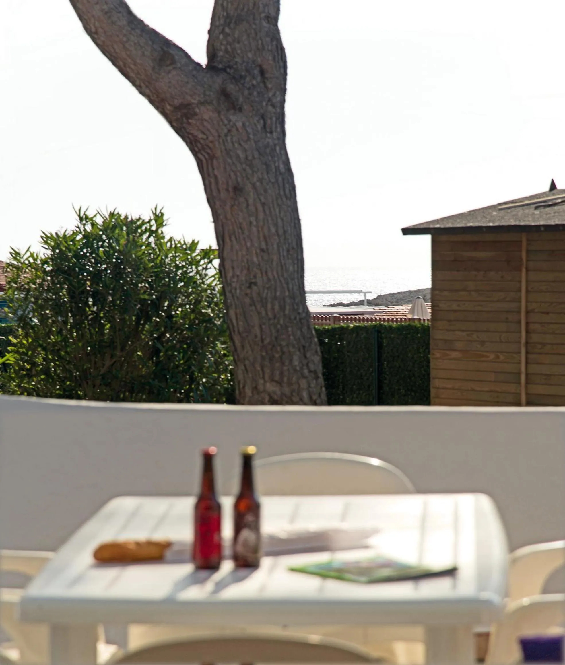 Balcony/Terrace in Apartamentos Cala Blanca