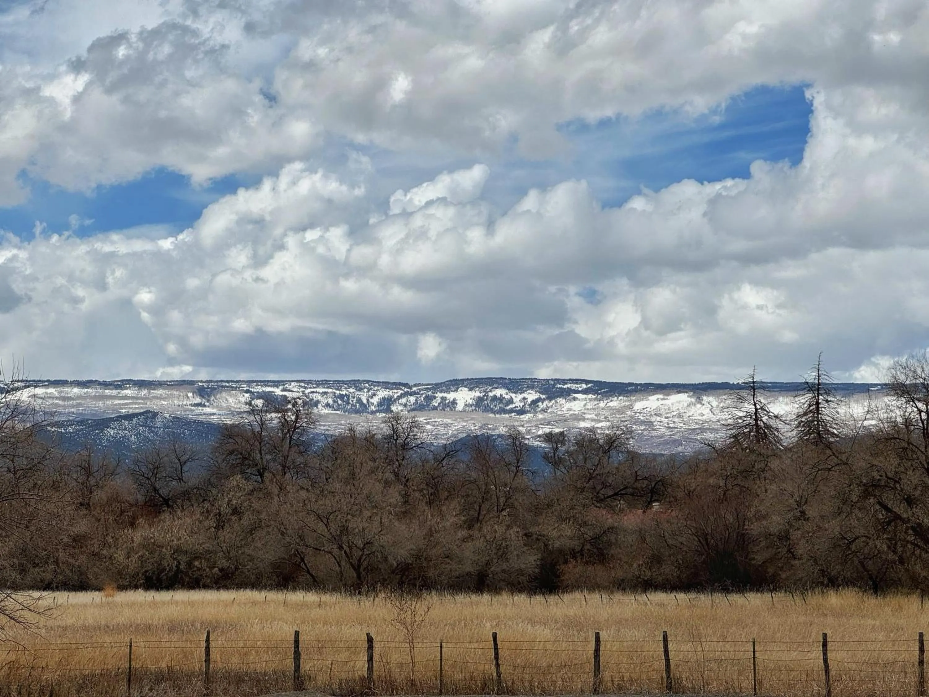 Mountain view in Stay Wise Inn Cedaredge