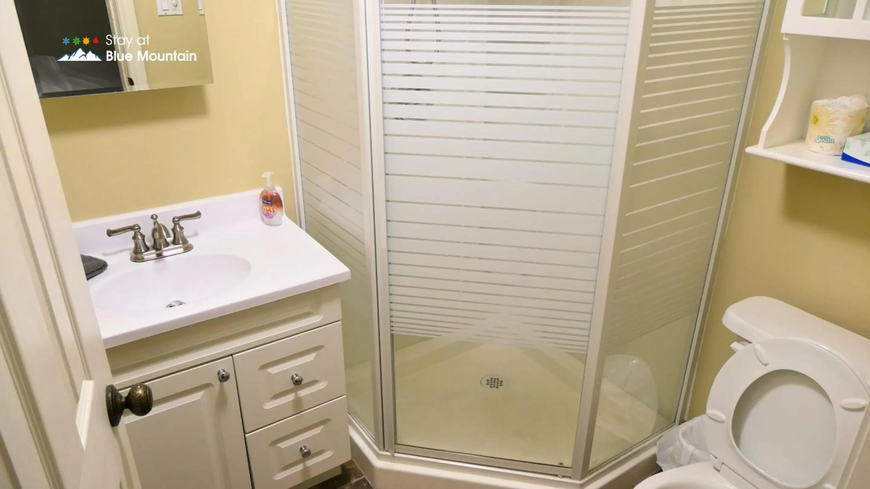 5 Bedrooms, Mountain Views, Steps from Blue Mountain Village, Hot Tub, BBQ