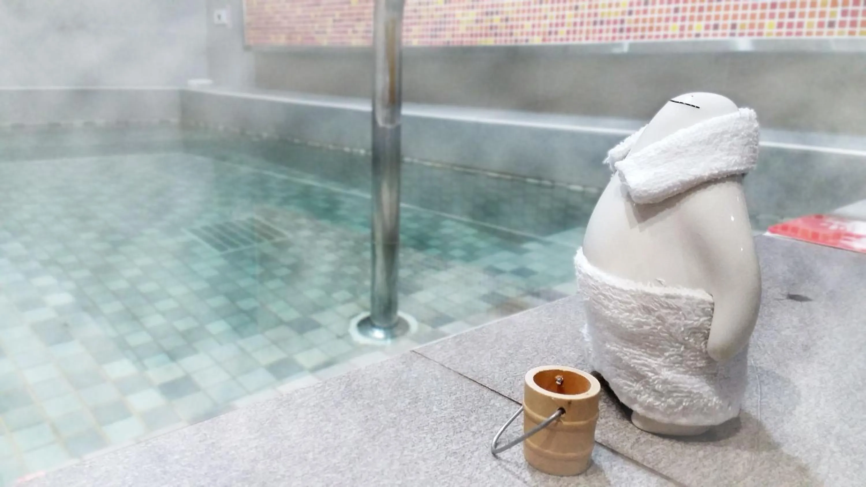 Hot Spring Bath in Bear Hotel