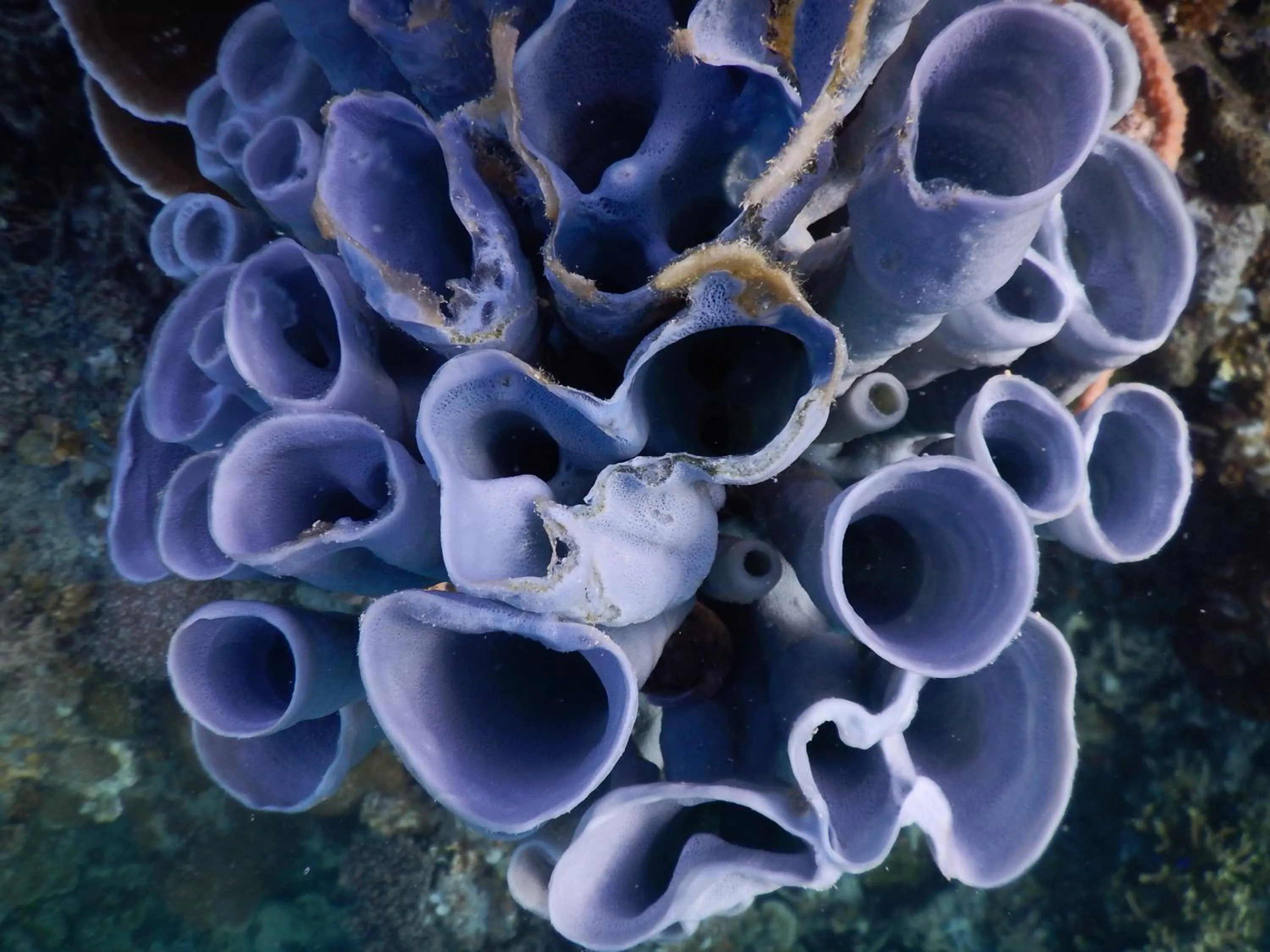 Activities in NoaNoa Private Island