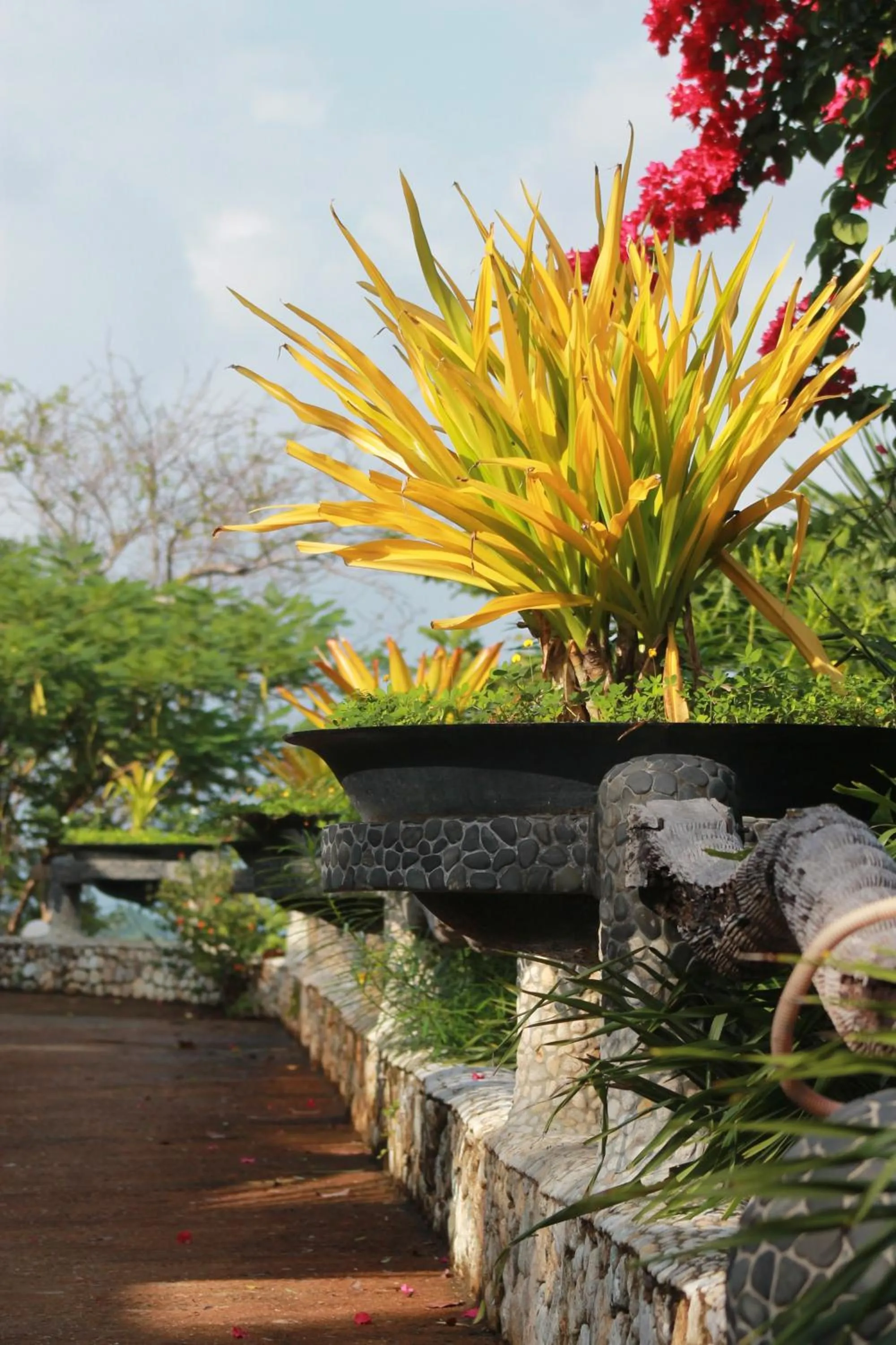 Garden in NoaNoa Private Island