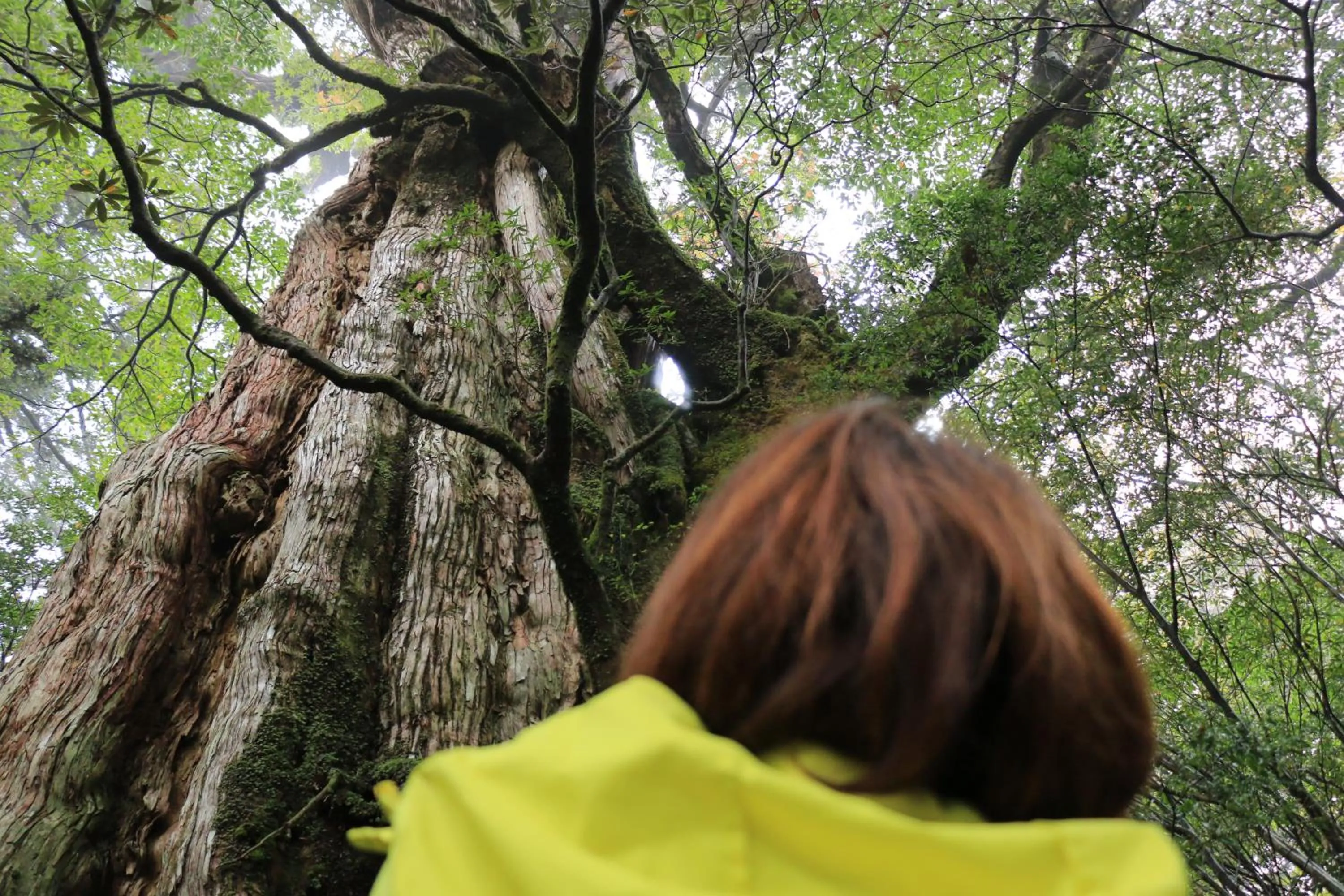 Nearby landmark in Miyanouraso