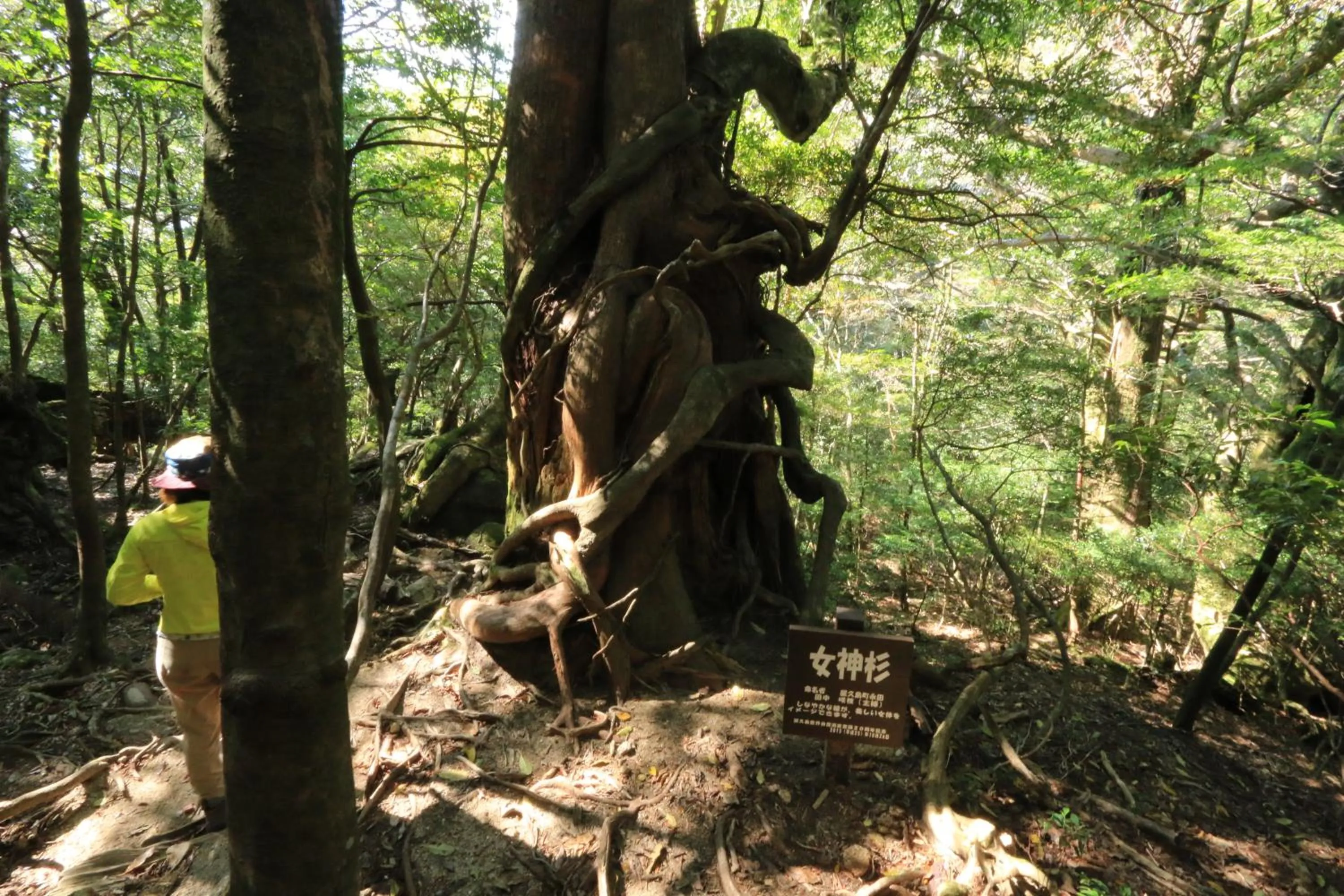 Nearby landmark in Miyanouraso