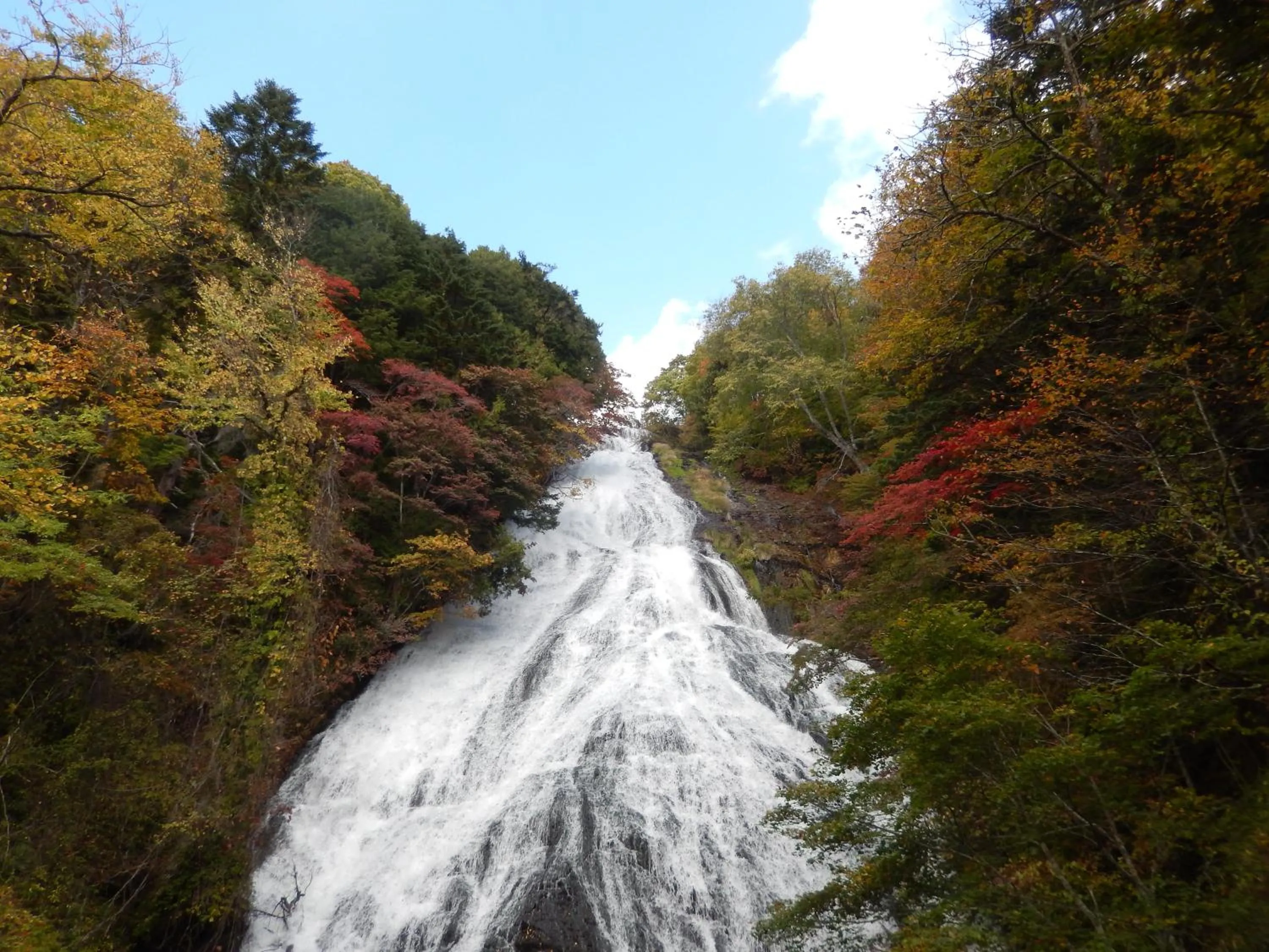 Natural landscape in Nikko Astraea Hotel
