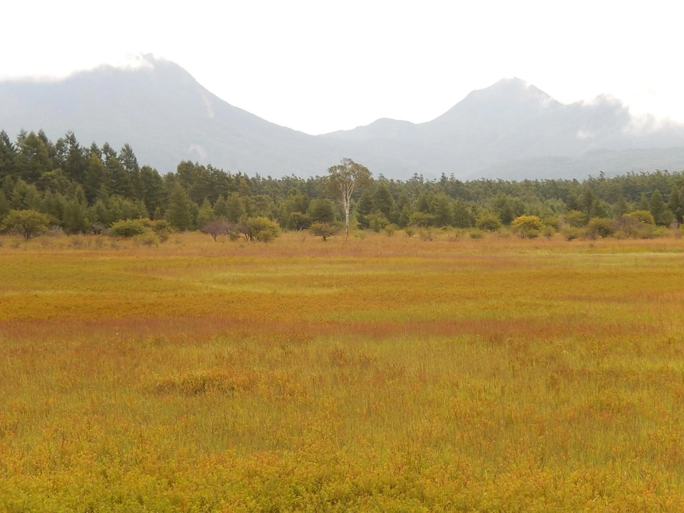 Autumn in Nikko Astraea Hotel