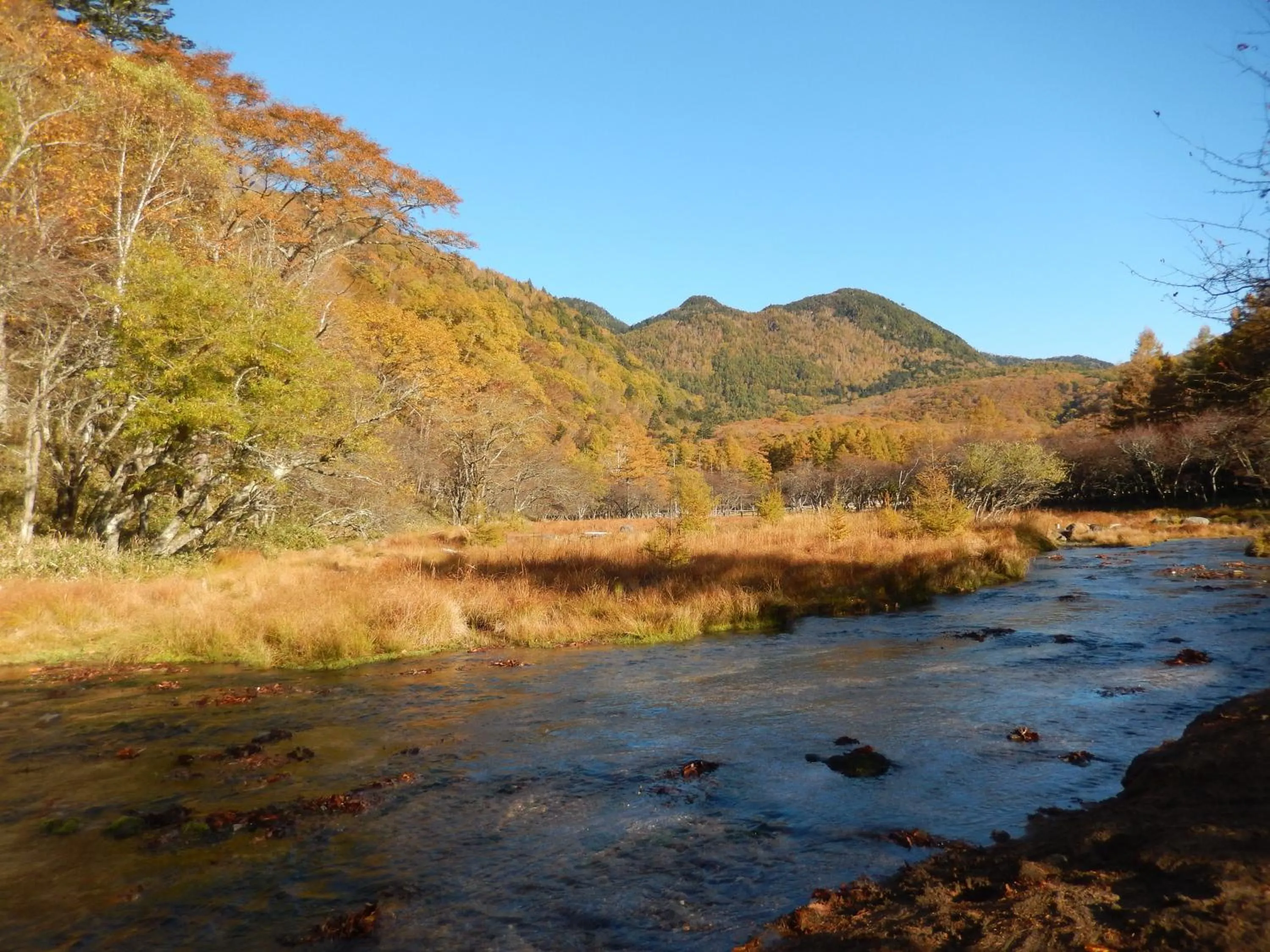 Autumn in Nikko Astraea Hotel