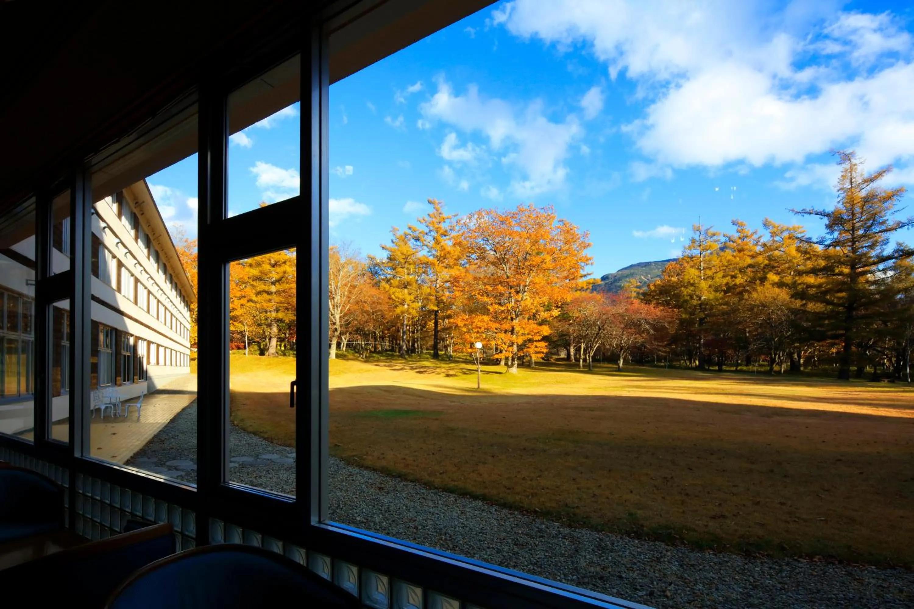 View (from property/room) in Nikko Astraea Hotel
