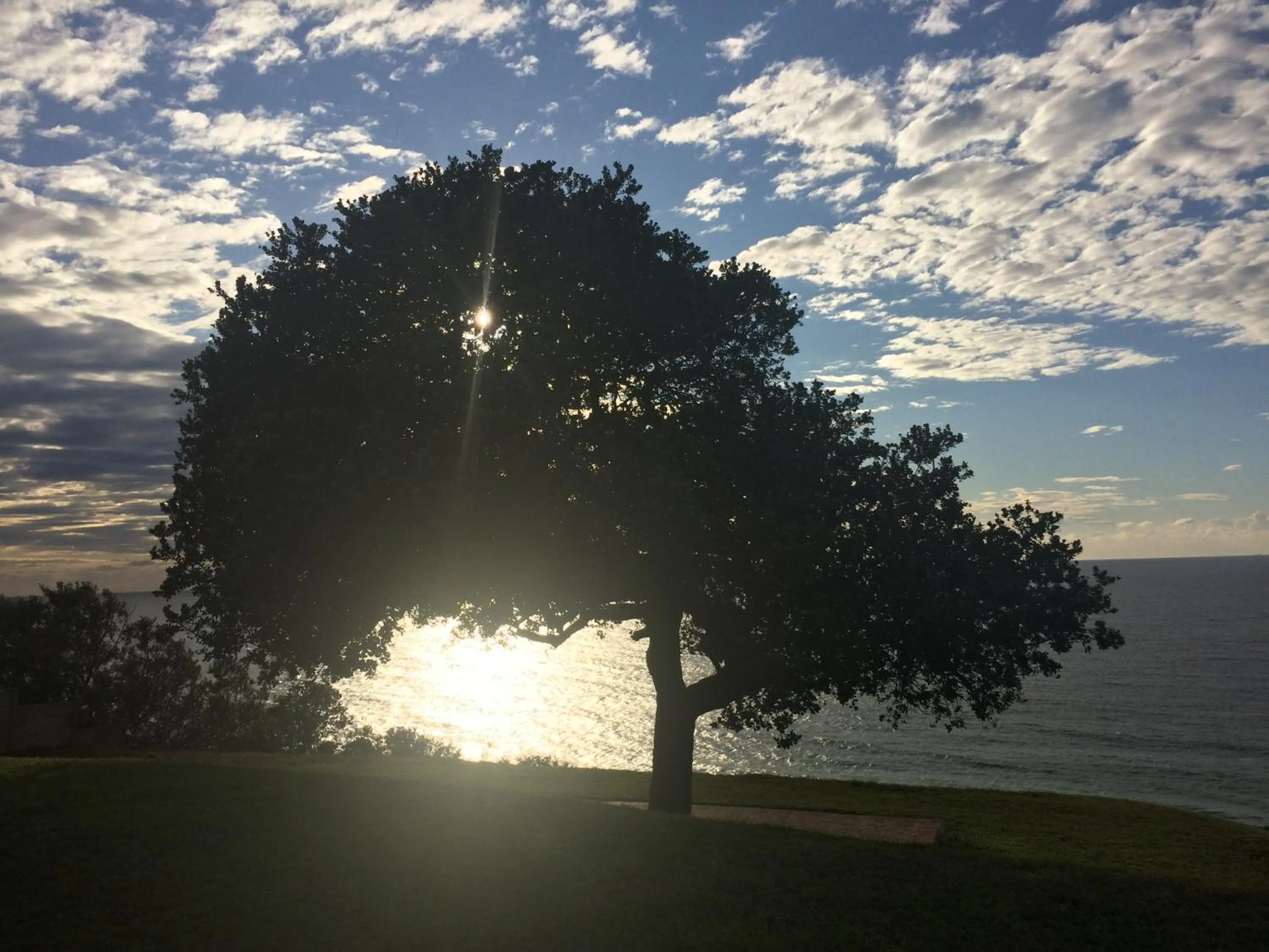 Sea view in The Milkwood Beach Apartments