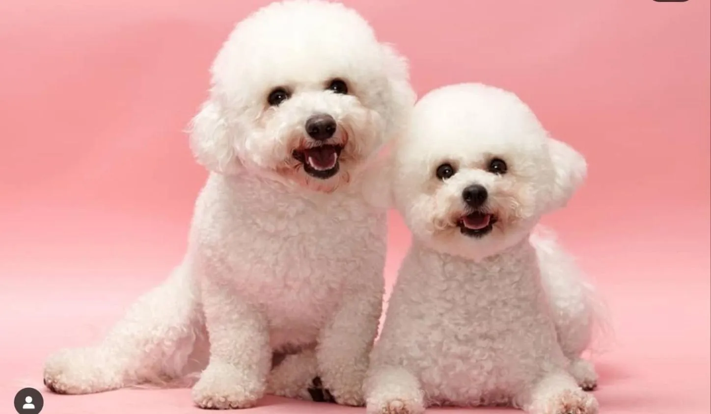 Hotel The Designers Cheongnyangni