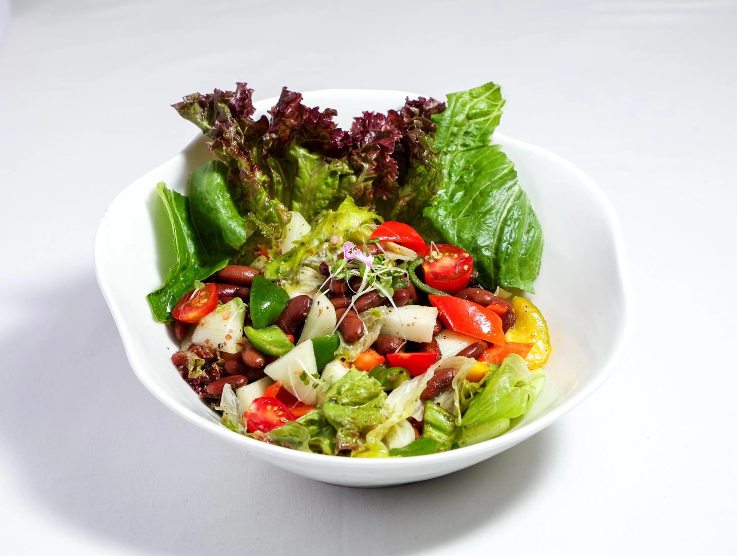 Food close-up in The Orchid Passaros Benaulim Goa