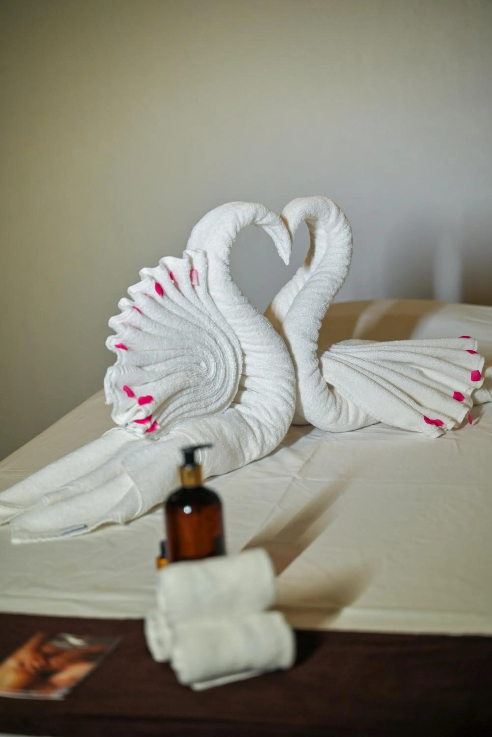 Spa and wellness centre/facilities, Bed in The Orchid Passaros Benaulim Goa