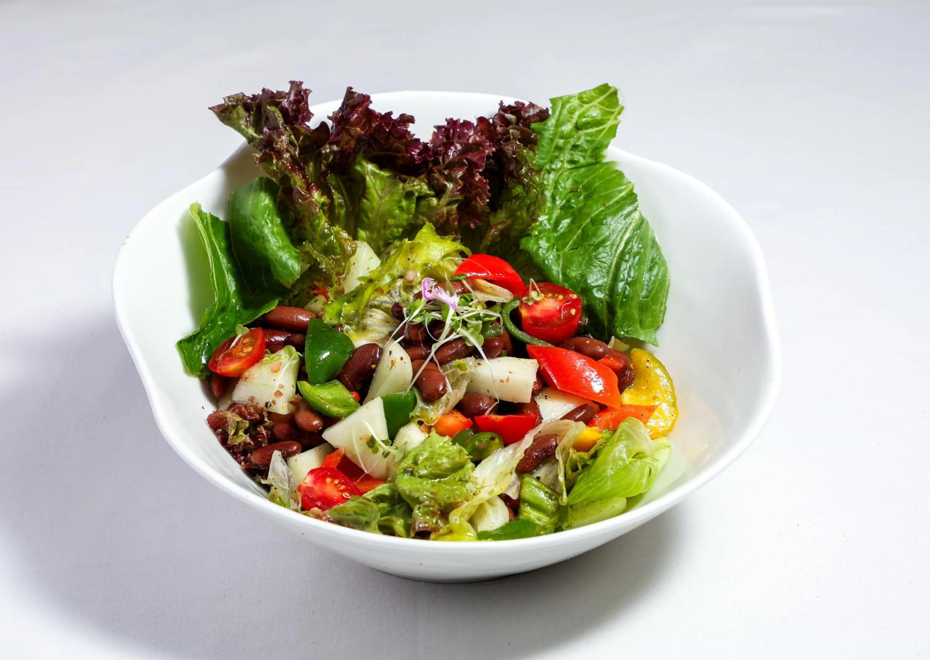 Food close-up in The Orchid Passaros Benaulim Goa