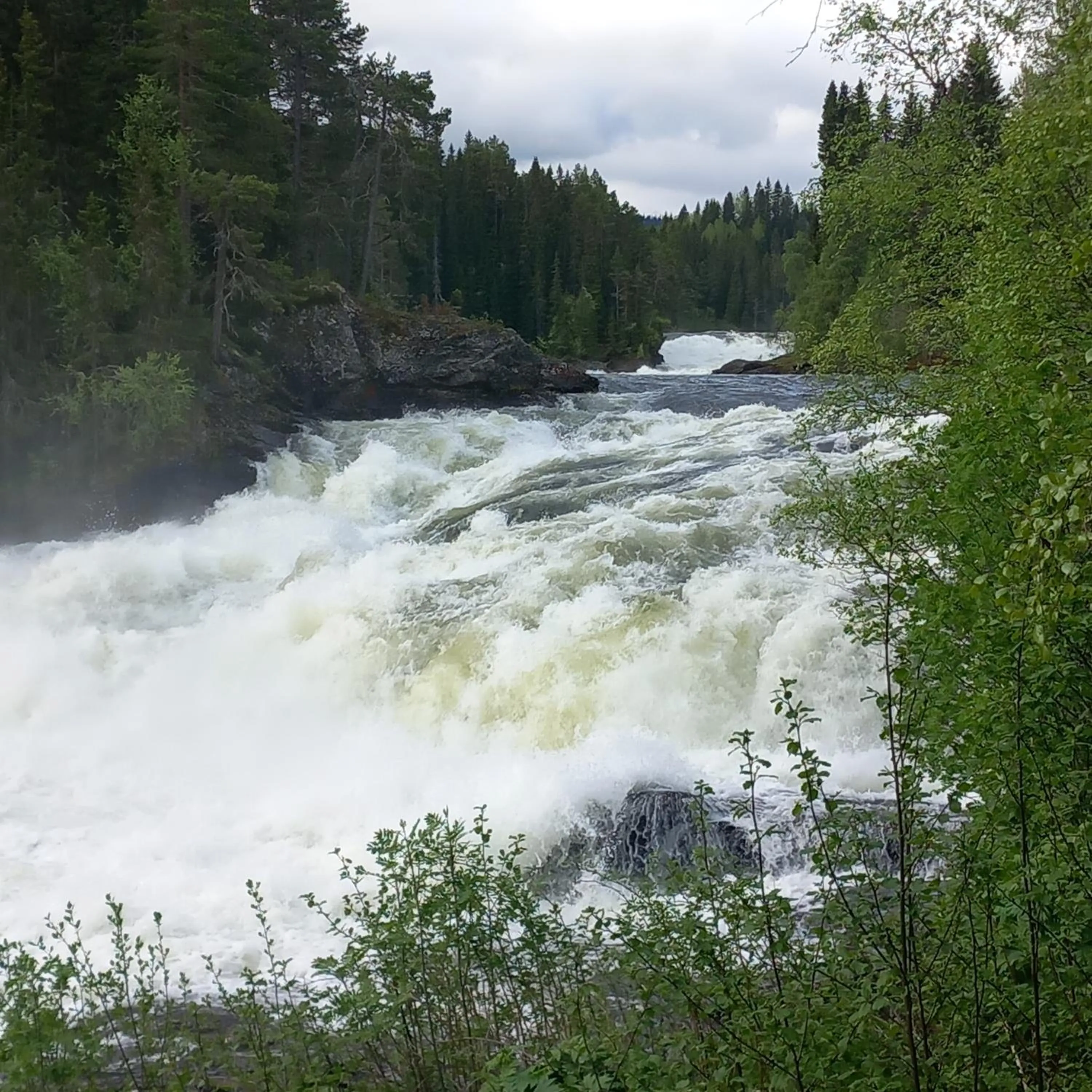 View (from property/room) in Ristafallets Camping